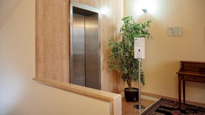 Un ascensor moderno con detalles metálicos, una planta en maceta con hojas variegadas y una mesa de madera con un tapete estampado.