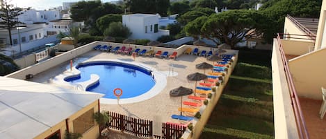 Outdoor pool, sun loungers