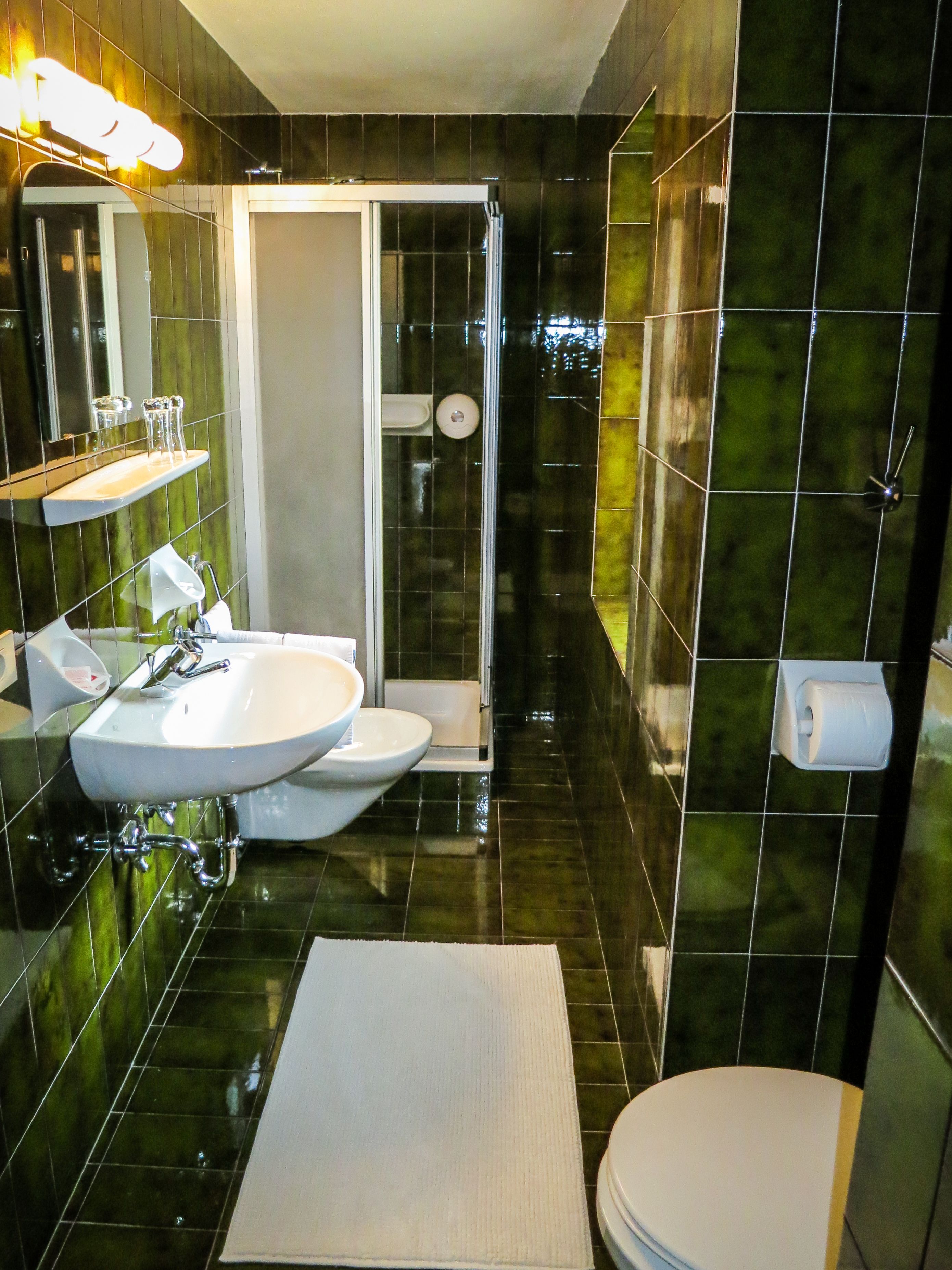 single room | bathroom | shower, hair dryer, towels