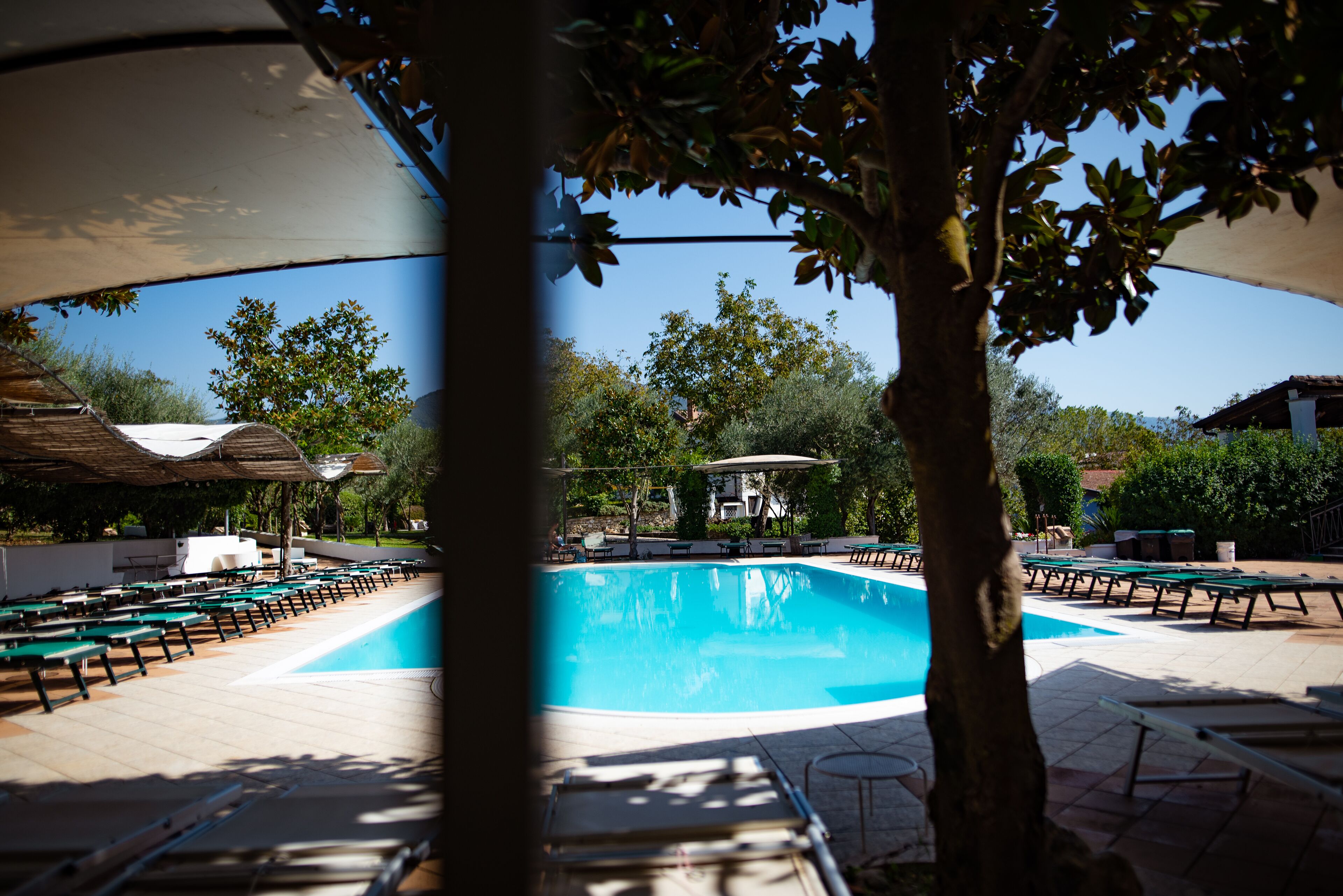 seasonal outdoor pool, open 10:00 am to 6:00 pm, pool umbrellas