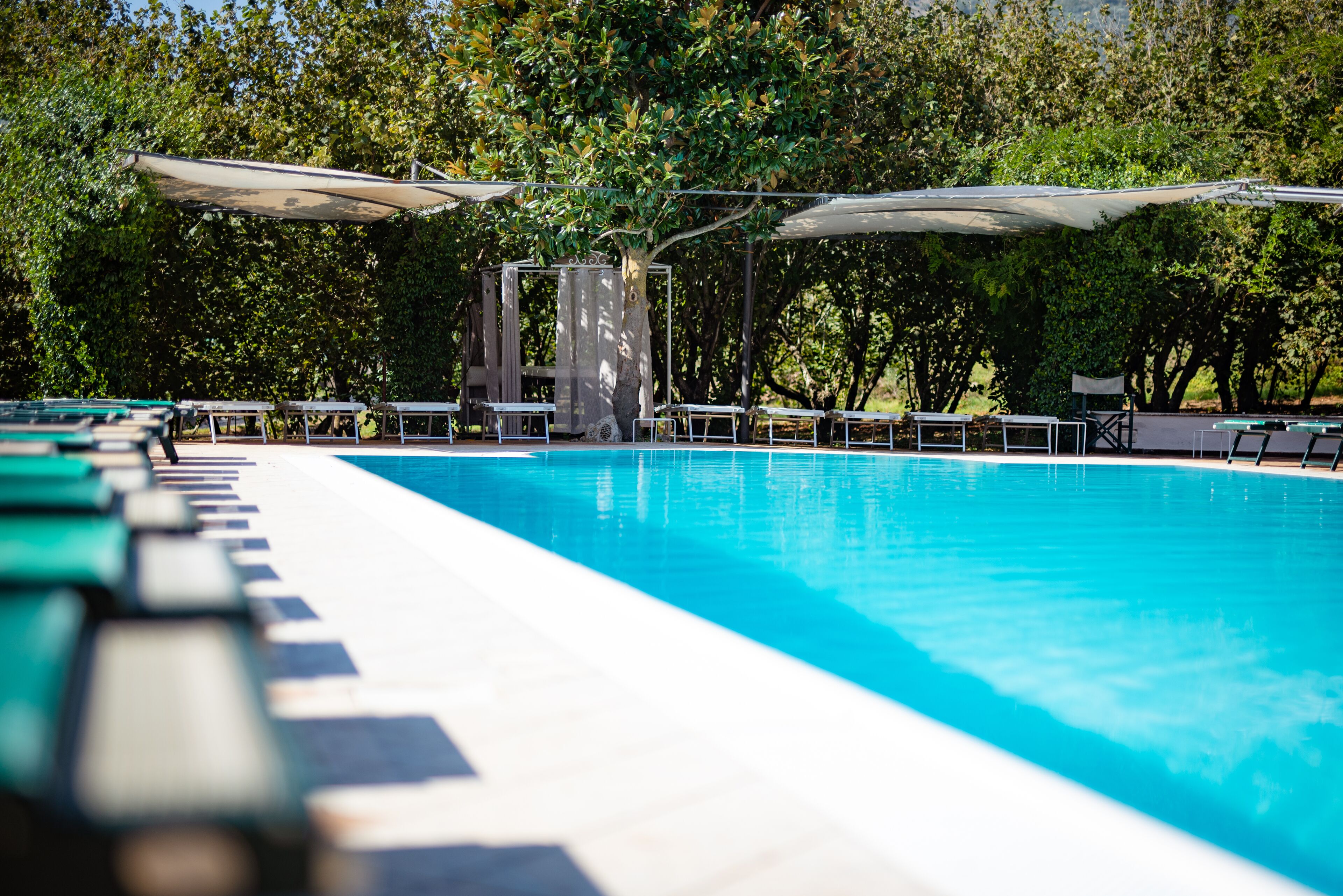 Una piscina con sillas de descanso y sombrillas, rodeada de árboles.