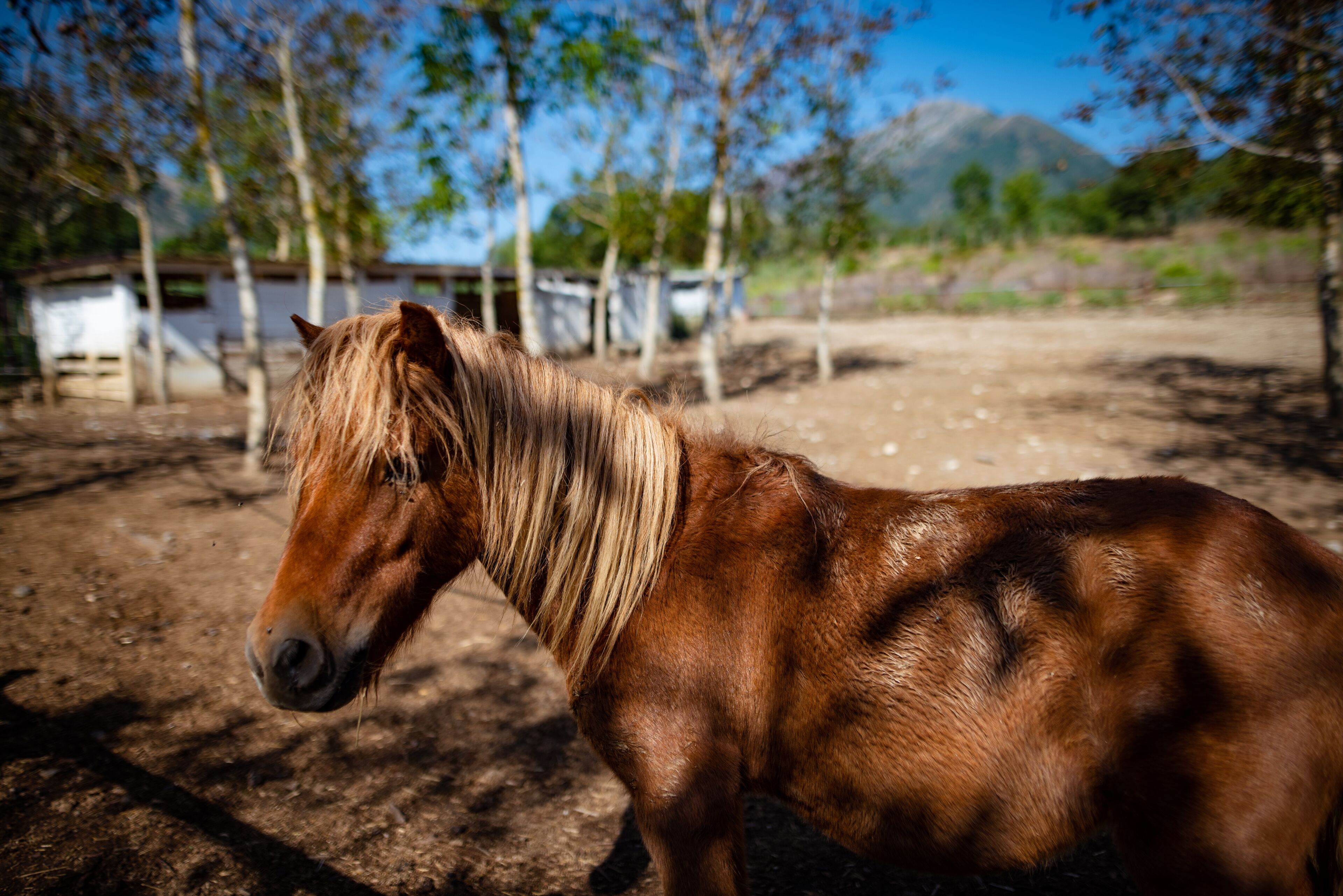 children’s activities