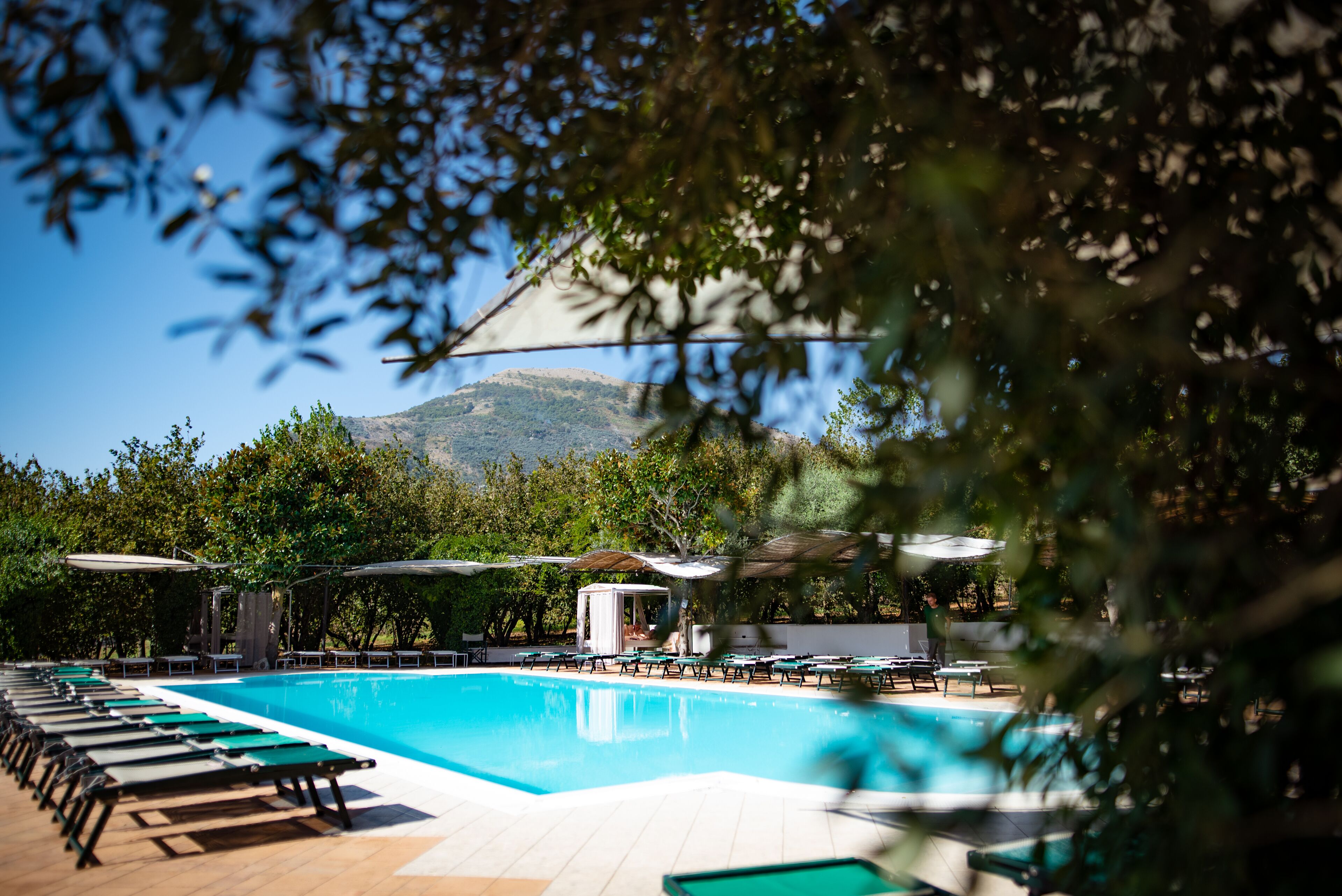 Un espace piscine agrémenté de chaises longues et de parasols, entouré d’arbres et avec une montagne en toile de fond.