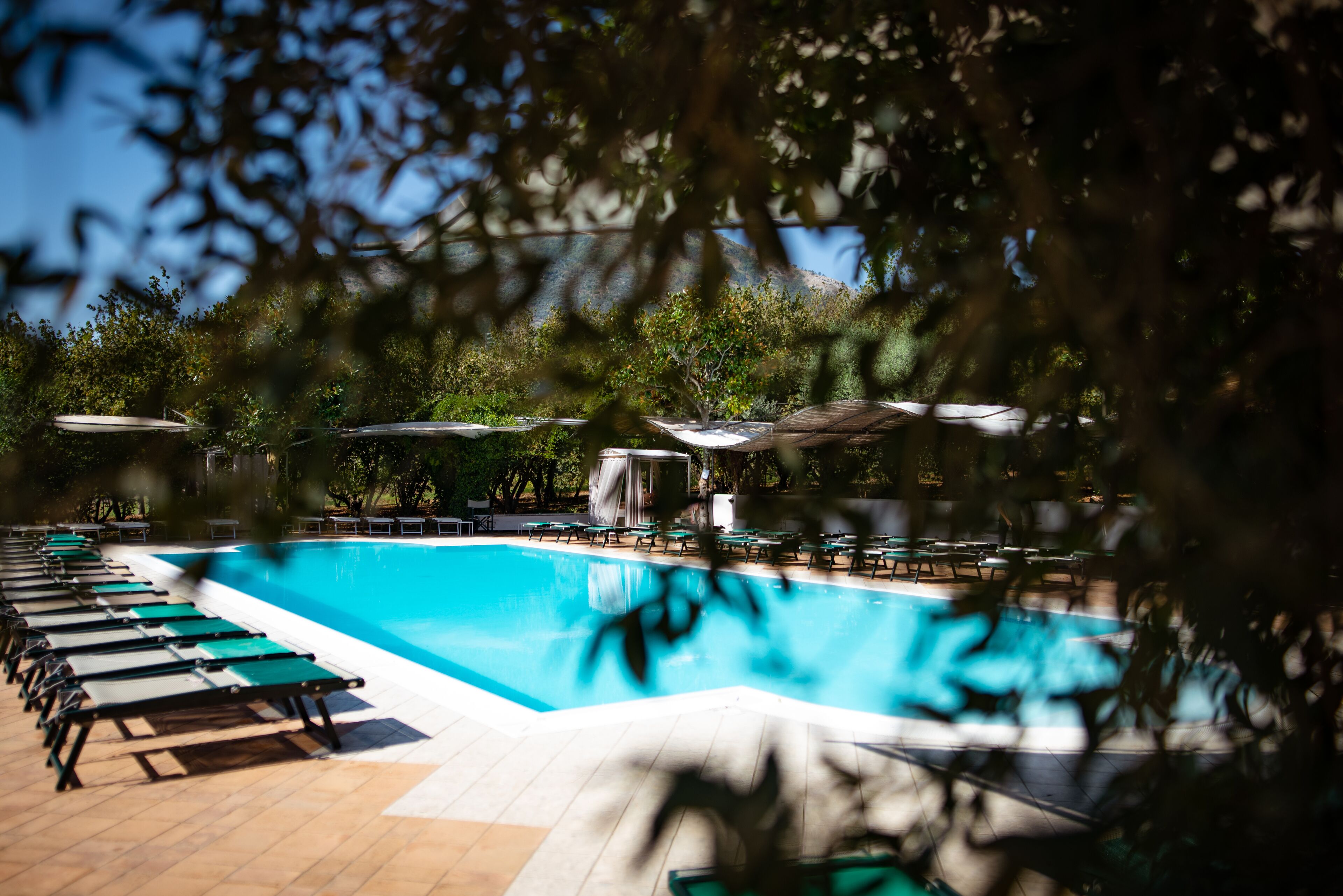 Una piscina con lettini e ombrelloni, circondata da alberi.