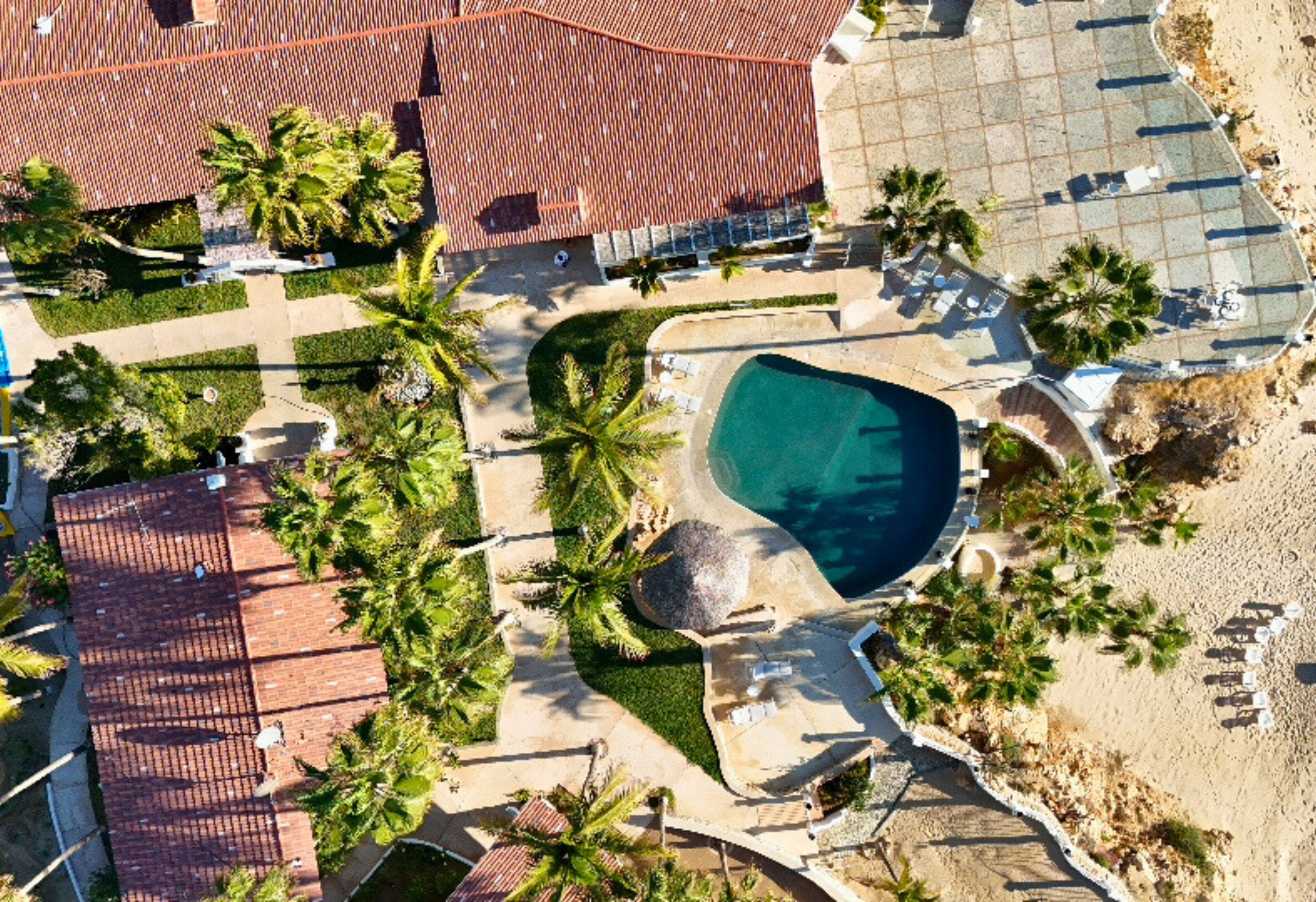 Vista aérea de un resort con piscina, palmeras y una zona de playa.