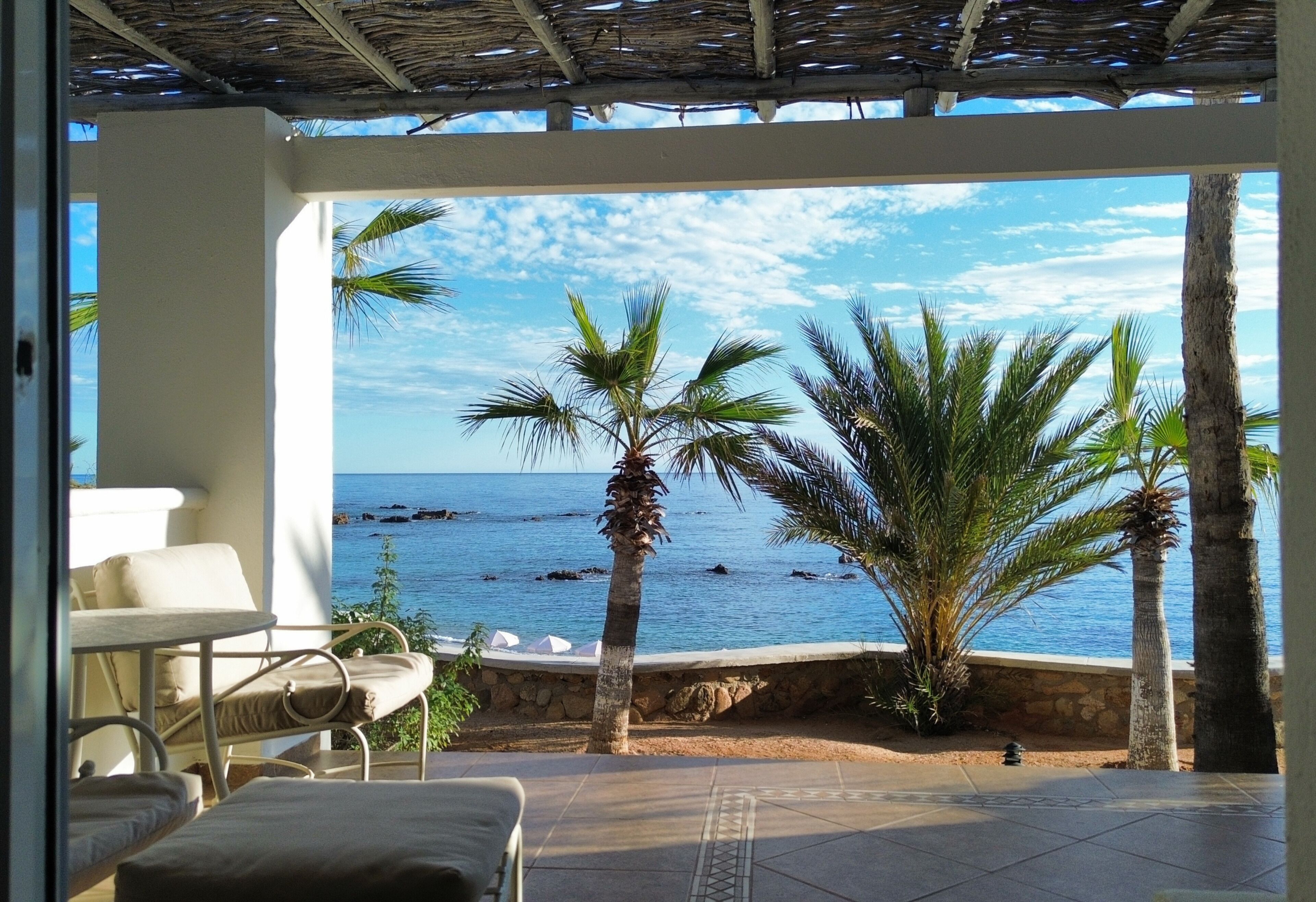 Quarto com vista para o mar, uma parede de pedra e uma palmeira.