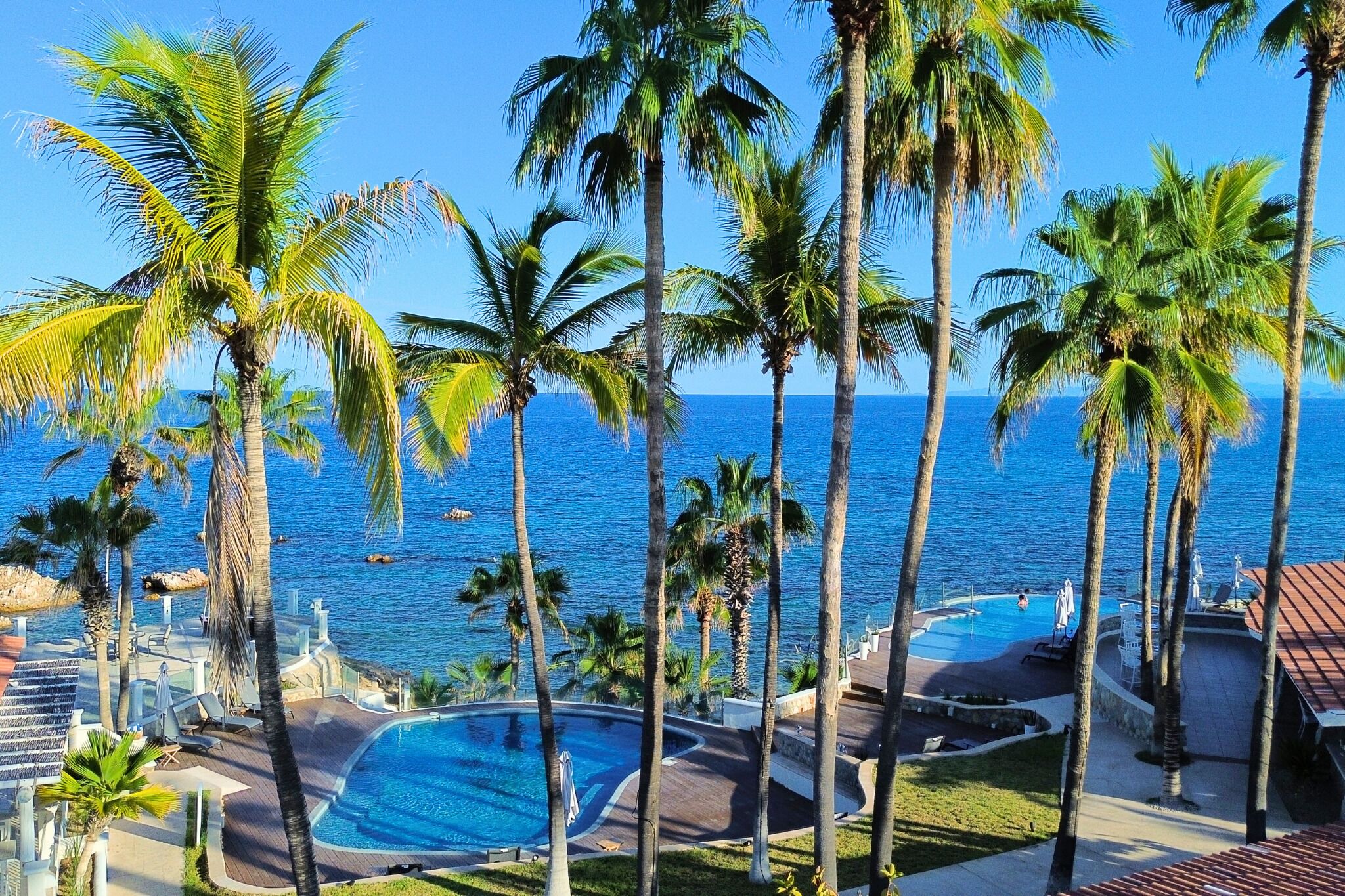 Un complexe hôtelier doté d’une piscine, de palmiers et offrant une vue sur l’océan.