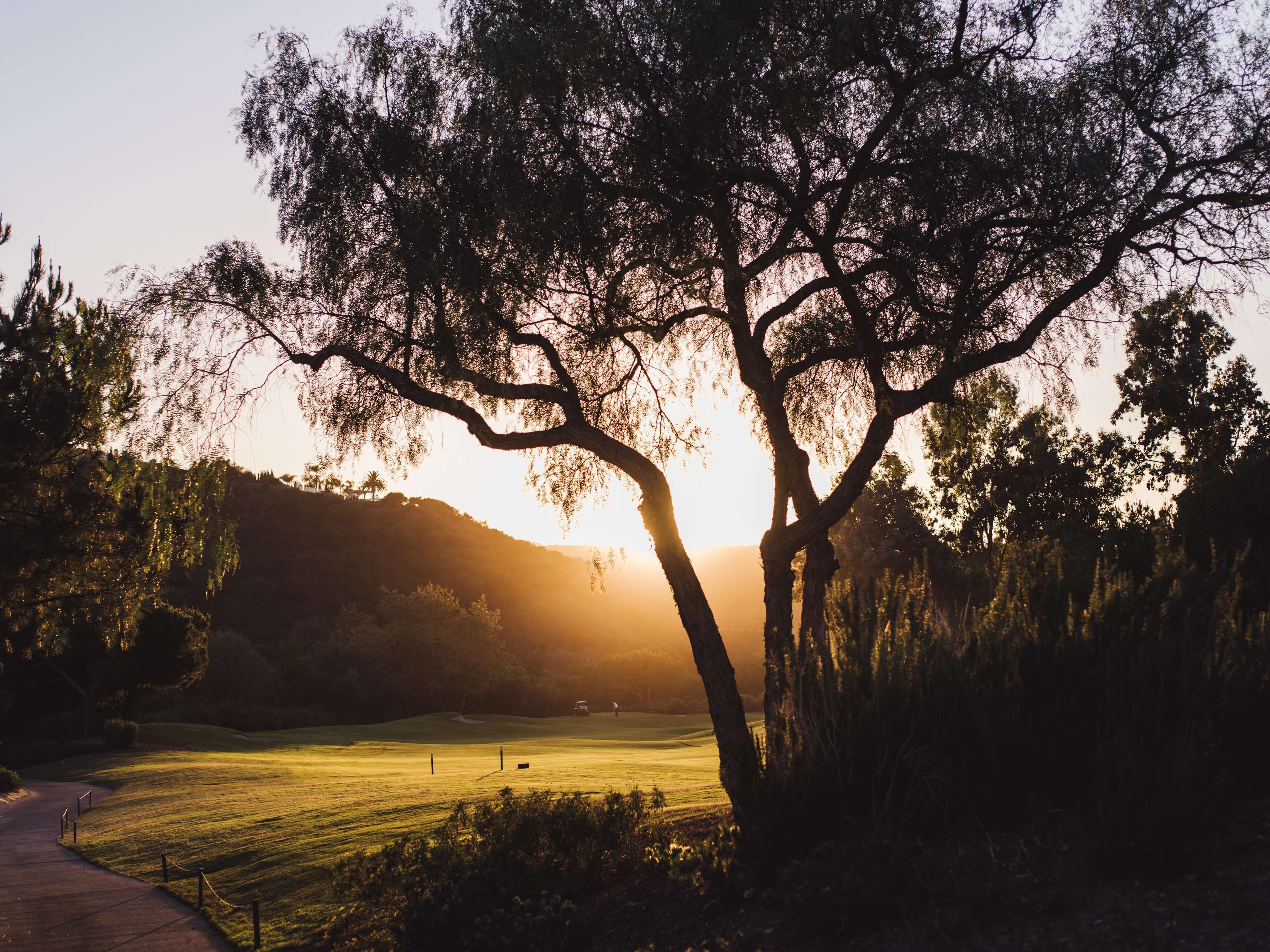Um campo de golfe com um caminho e árvores ao pôr do sol.