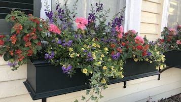 Una hilera de macetas con diversas flores en la pared exterior de una casa.