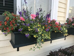 Vue depuis l’hébergement