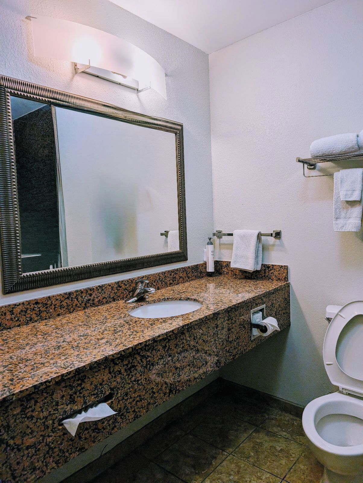 combined shower/bathtub, free toiletries, hair dryer, towels