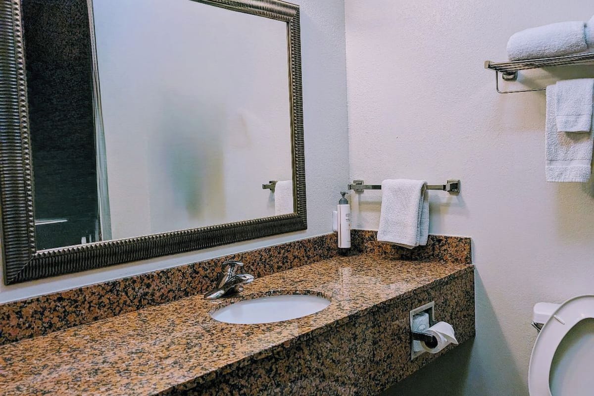 combined shower/bathtub, free toiletries, hair dryer, towels