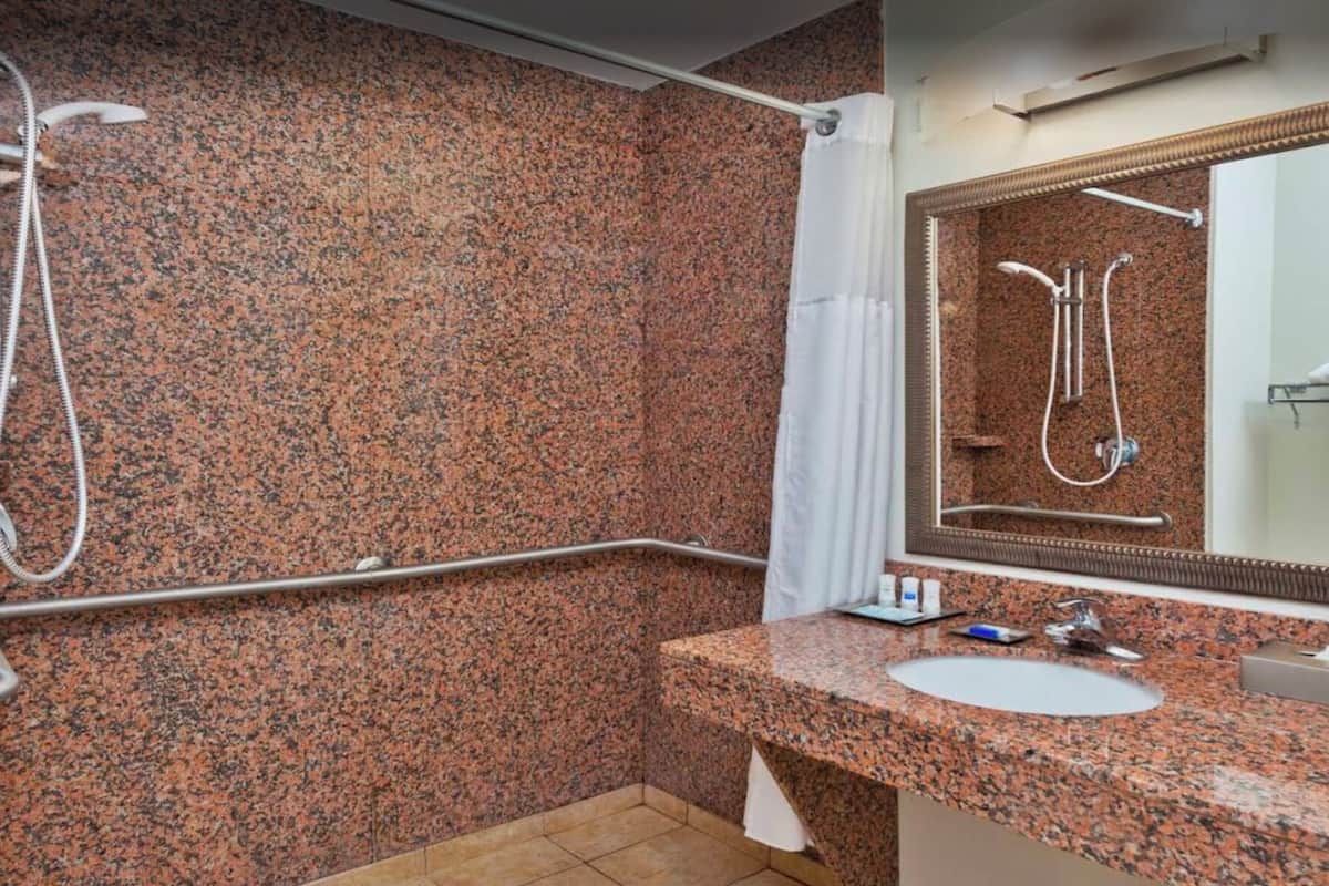 combined shower/bathtub, free toiletries, hair dryer, towels