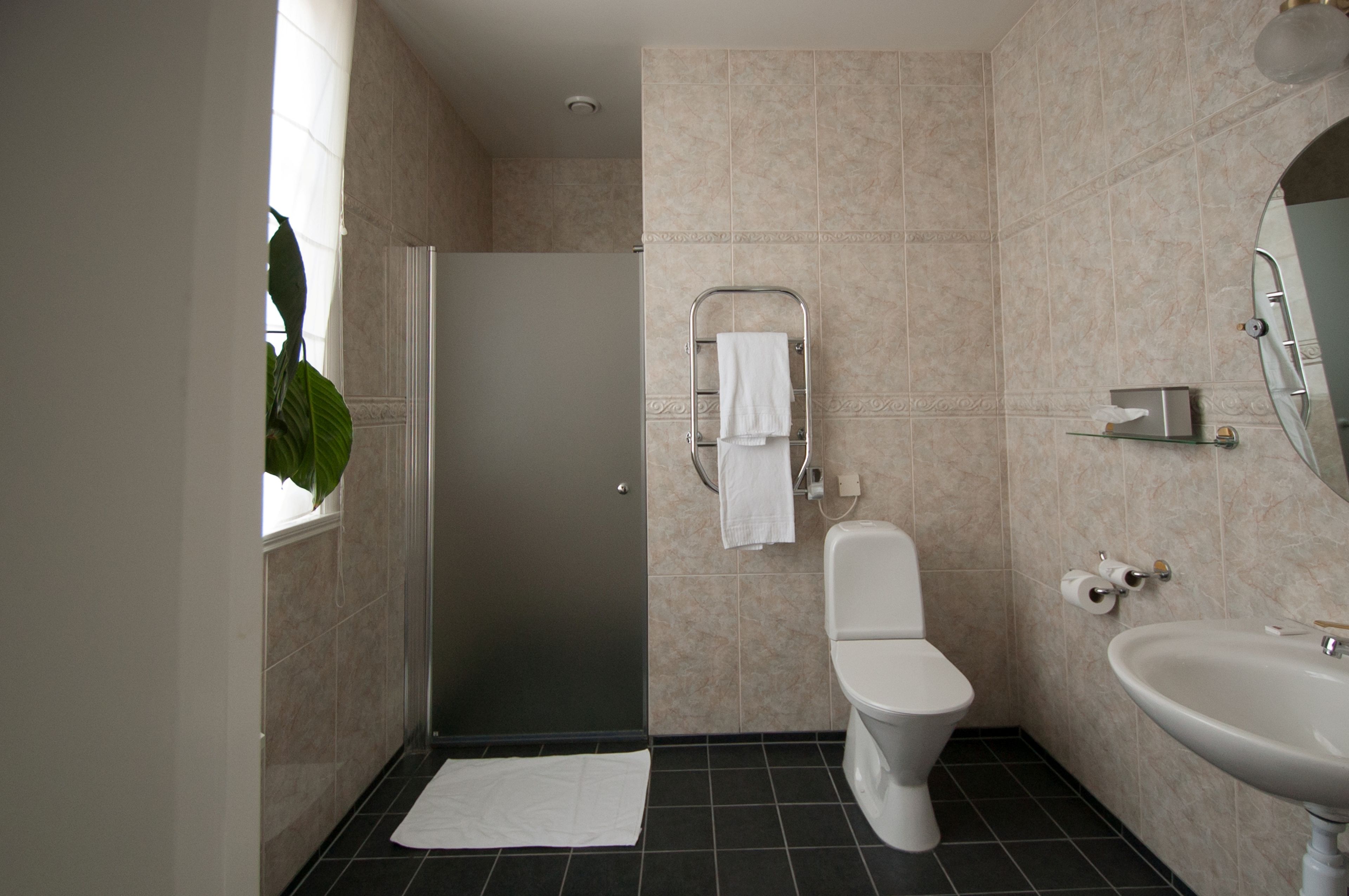 Une salle de bain avec douche, toilettes et lavabo.