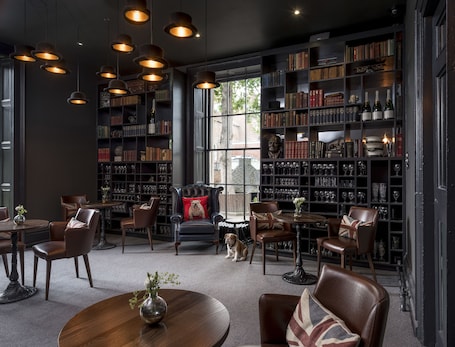 A library with leather chairs, bookshelves, and a dog.