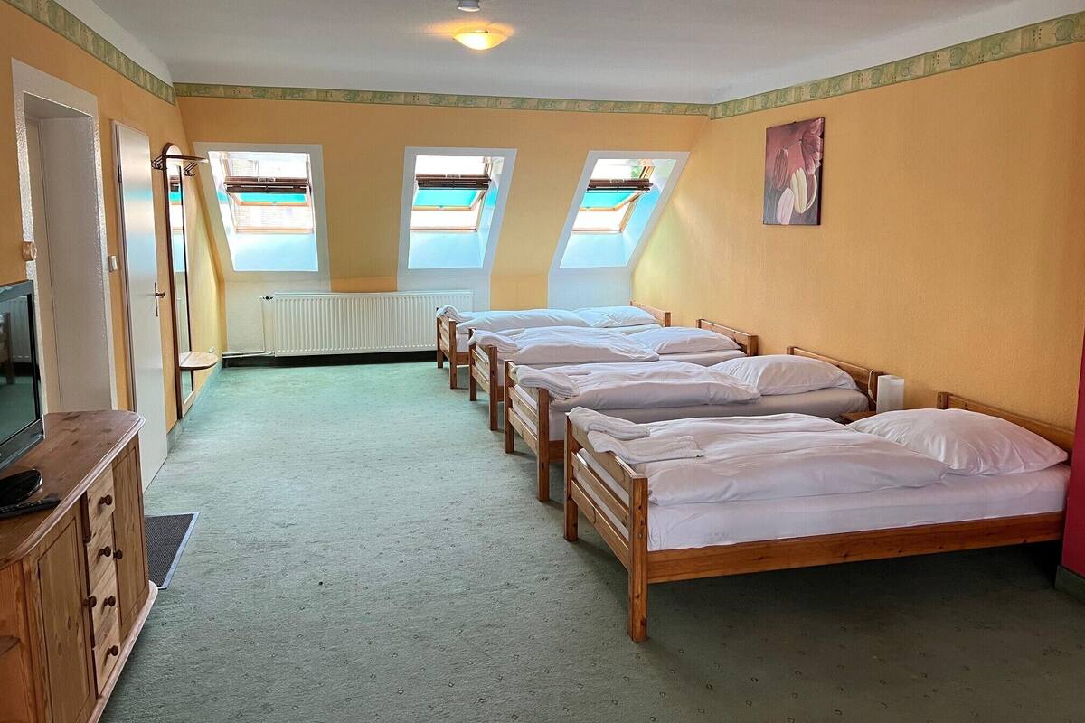 Un dormitorio con cuatro camas de madera, un radiador, un televisor y tragaluces.