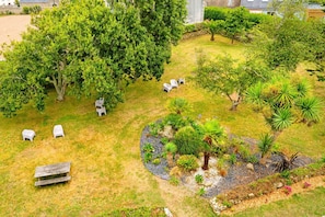 Jardin