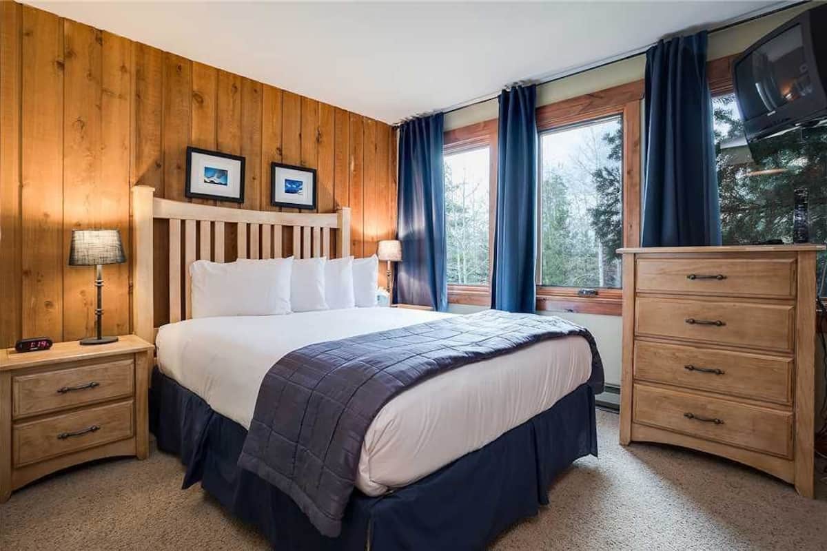 Condo, 1 Queen Bed with Sofa bed (Scandinavian Lodge and SL206)