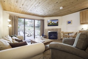 开间, 1 张大床和 1 张沙发床 (Scandinavian Lodge and SL101 - Cozy S) | 客厅 | 壁炉、DVD 播放器