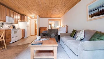 Studio, 1 Queen Bed with Sofa bed (Scandinavian Lodge and SL101 - Cozy S) | Living area | Fireplace, DVD player