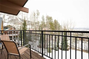 公寓式客房, 多张床 (Scandinavian Lodge and SL300) | 阳台