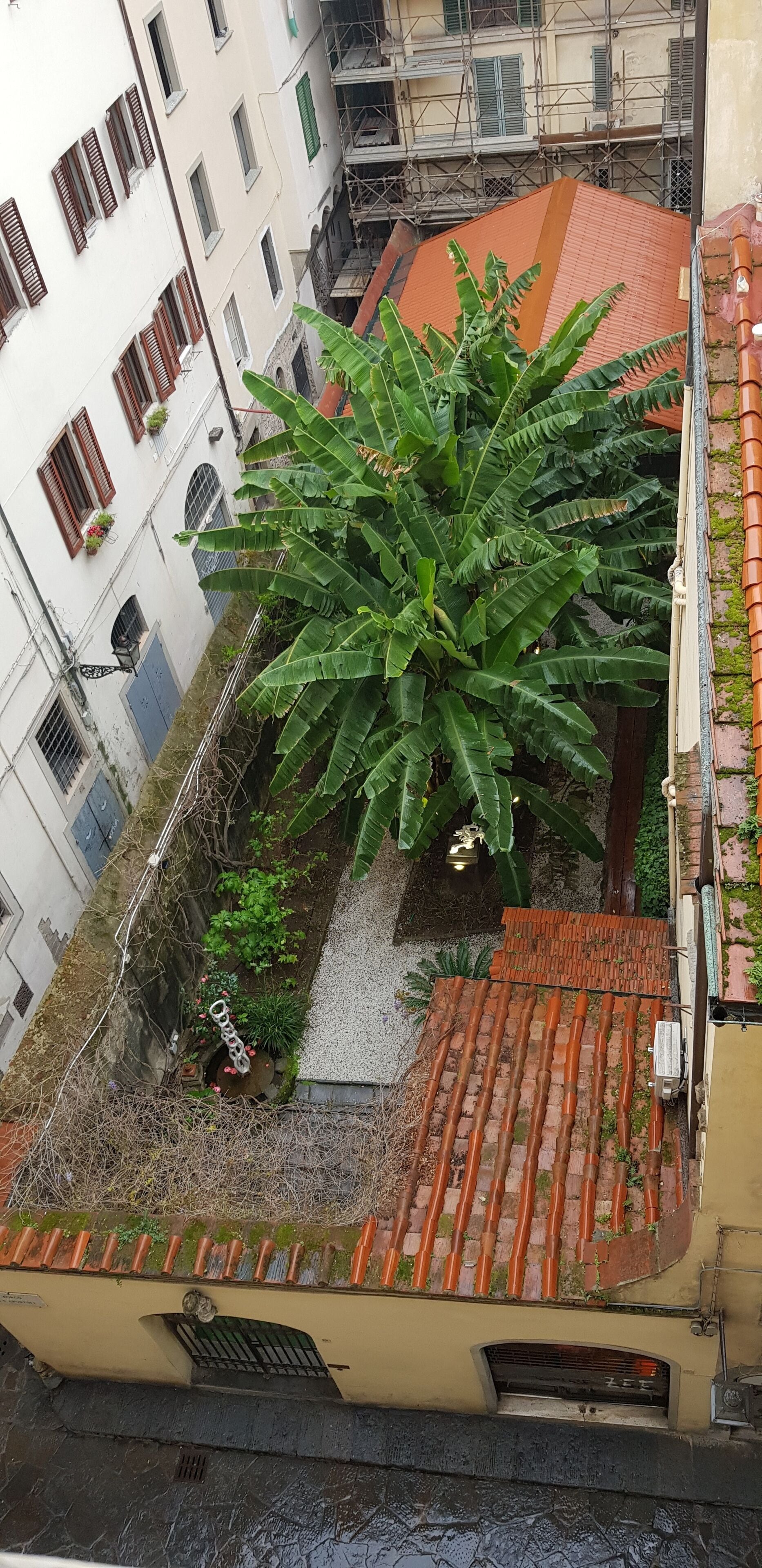 single room, private bathroom (external) | city view