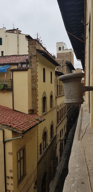 Vistas desde la habitación
