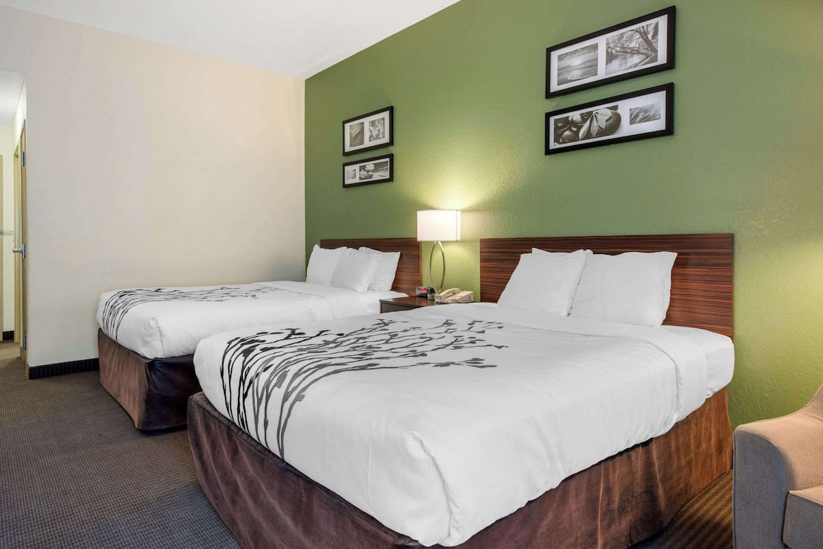 Ein Hotelzimmer mit zwei Betten, einer grünen Wand, gerahmten Bildern und einem Nachttisch mit Lampe.