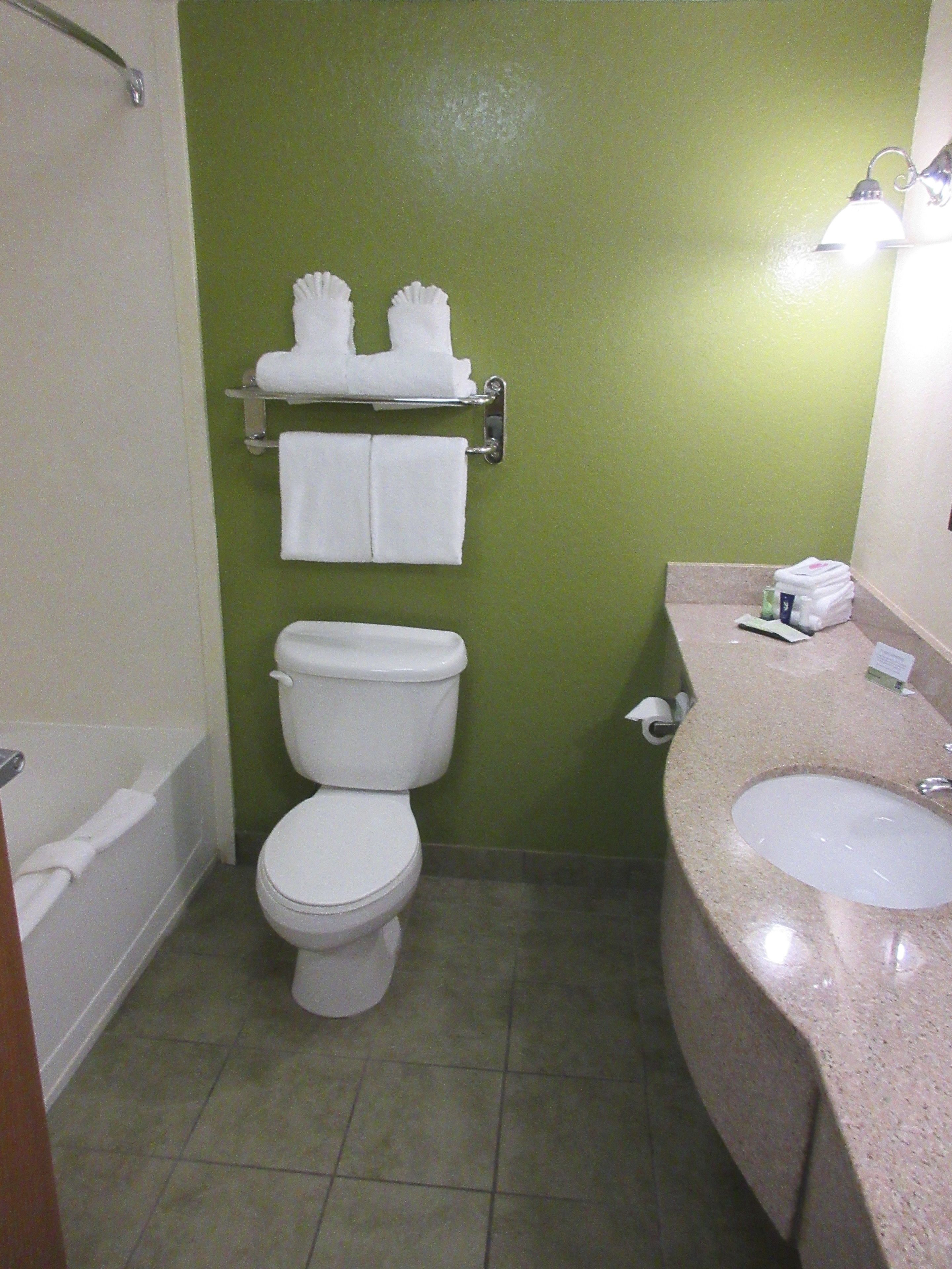 combined shower/bathtub, free toiletries, hair dryer, towels