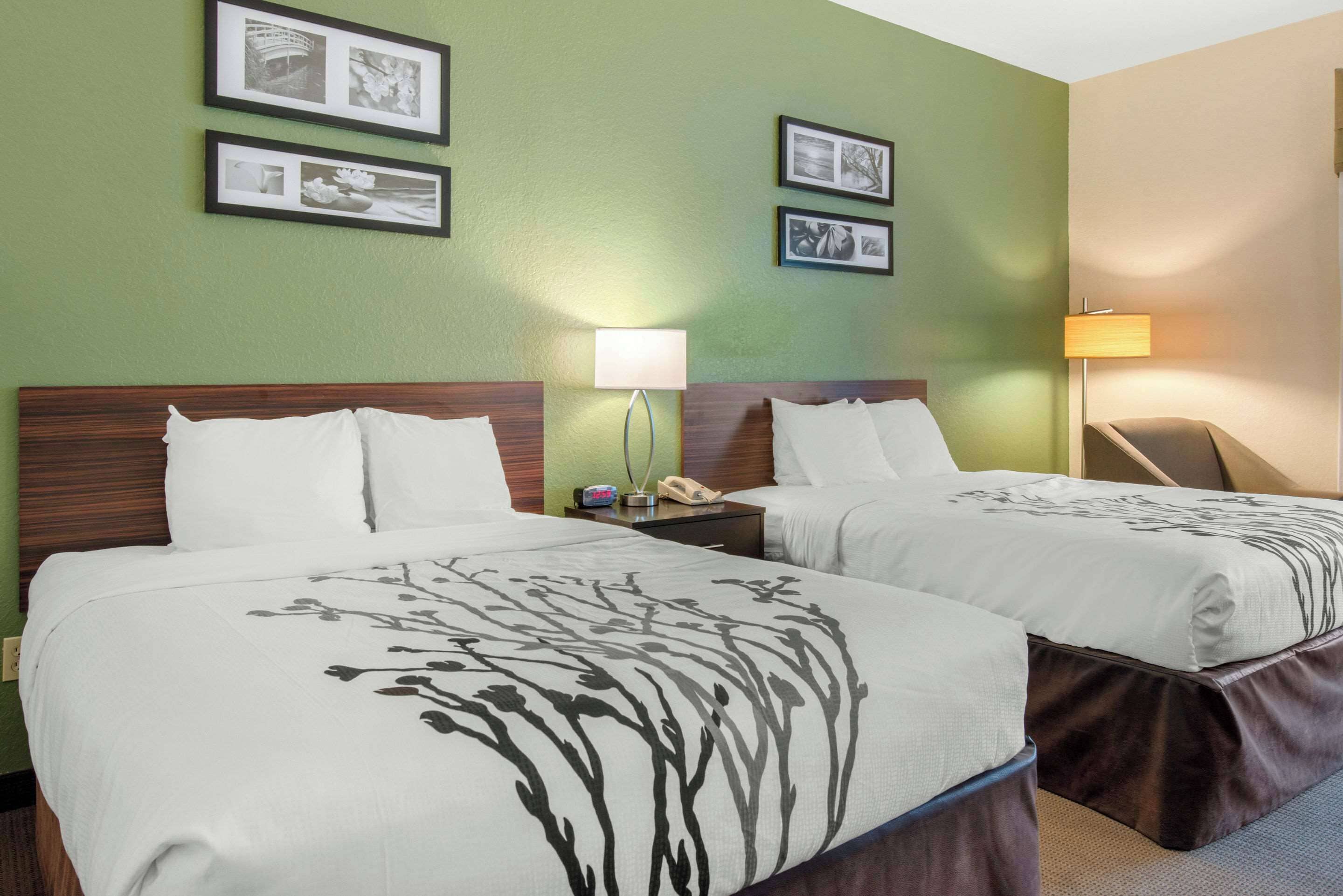 Habitación de hotel con dos camas, paredes verdes, cuadros enmarcados y una mesita de noche con lámpara.