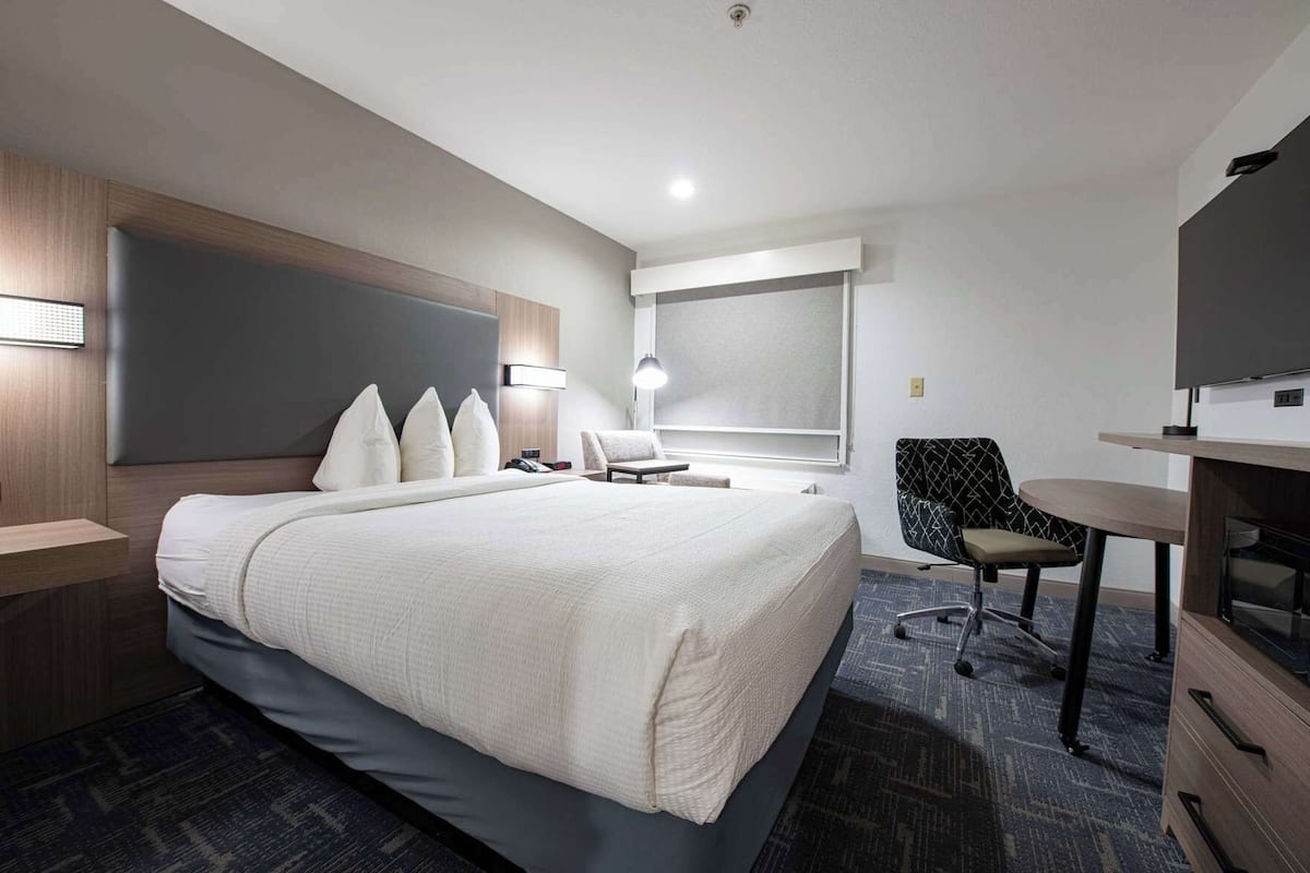 Escritorio, wifi gratis y ropa de cama 