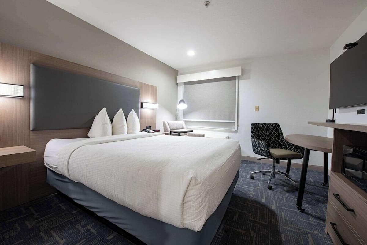 Desk, free WiFi, bed sheets