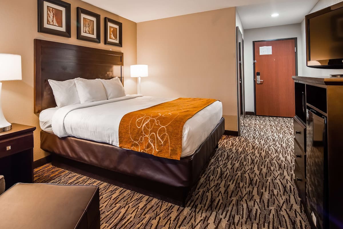 Una habitación de hotel con una cama, dos lámparas de noche, un televisor, un escritorio y una silla.