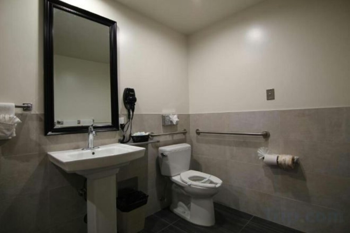 Room With Two Double Beds