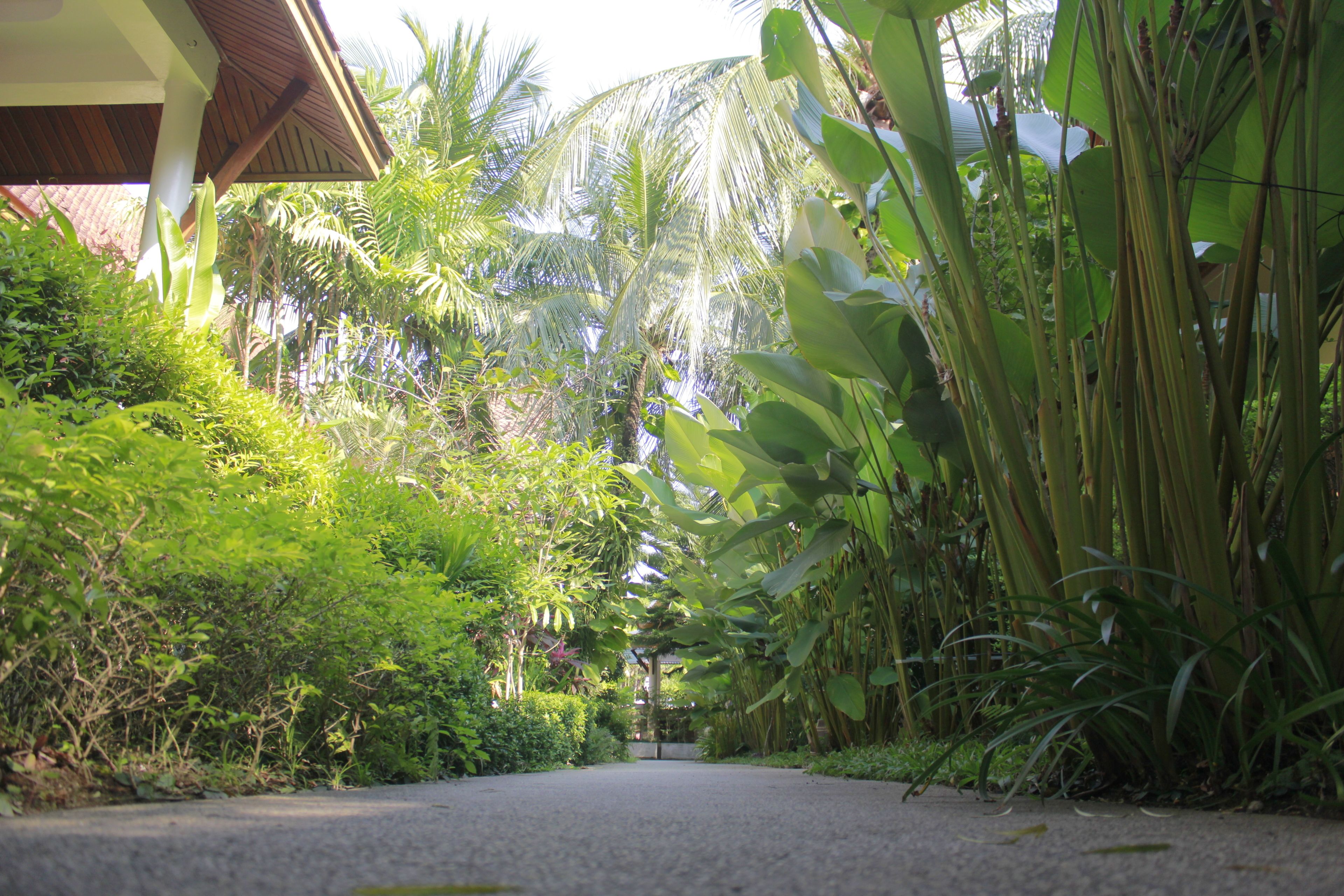 Foto - Bangtao Village Resort - SHA