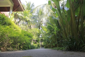 A pathway flanked by lush tropical vegetation, leading to a building with a wooden roof.