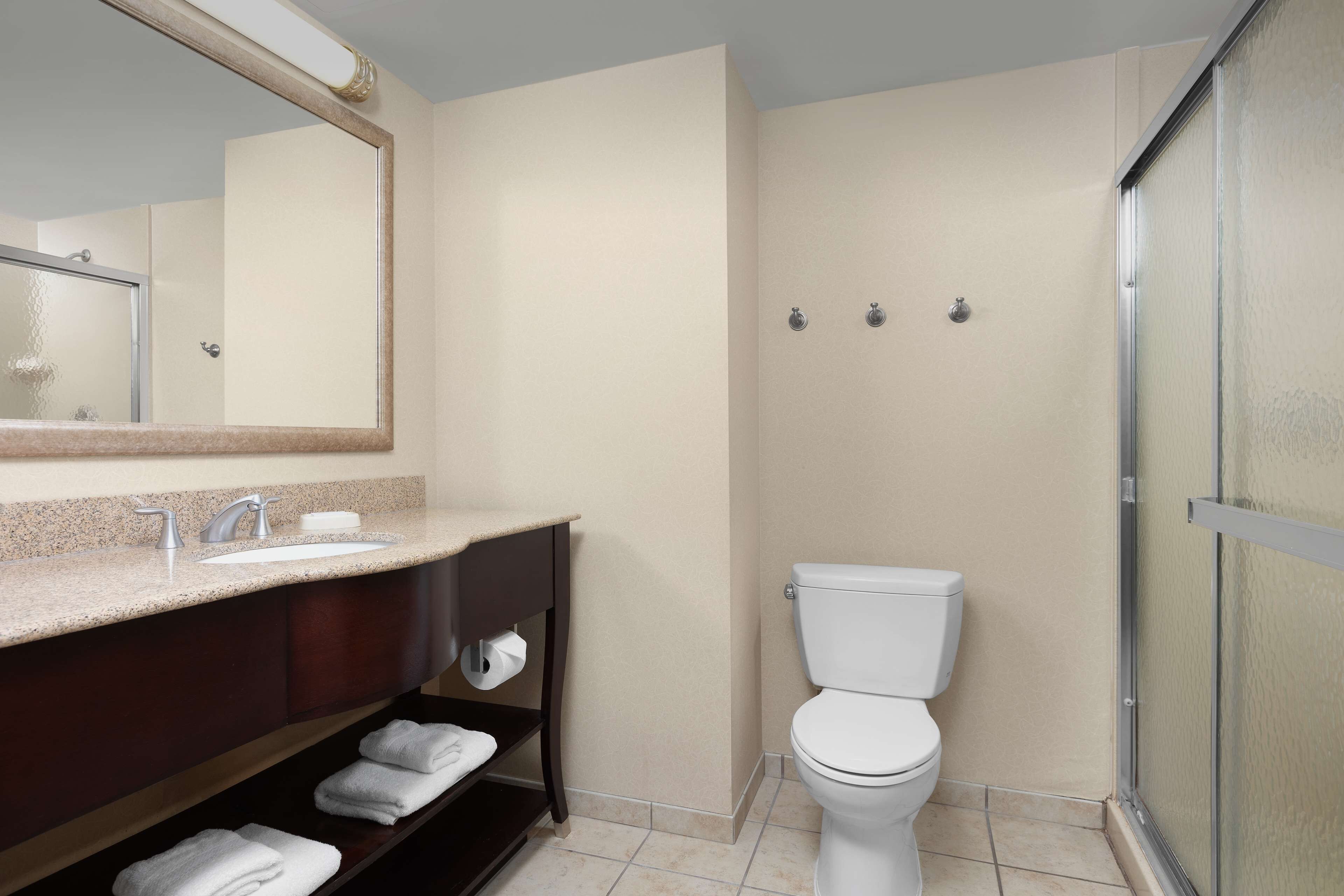 room, 1 king bed, non smoking | bathroom shower