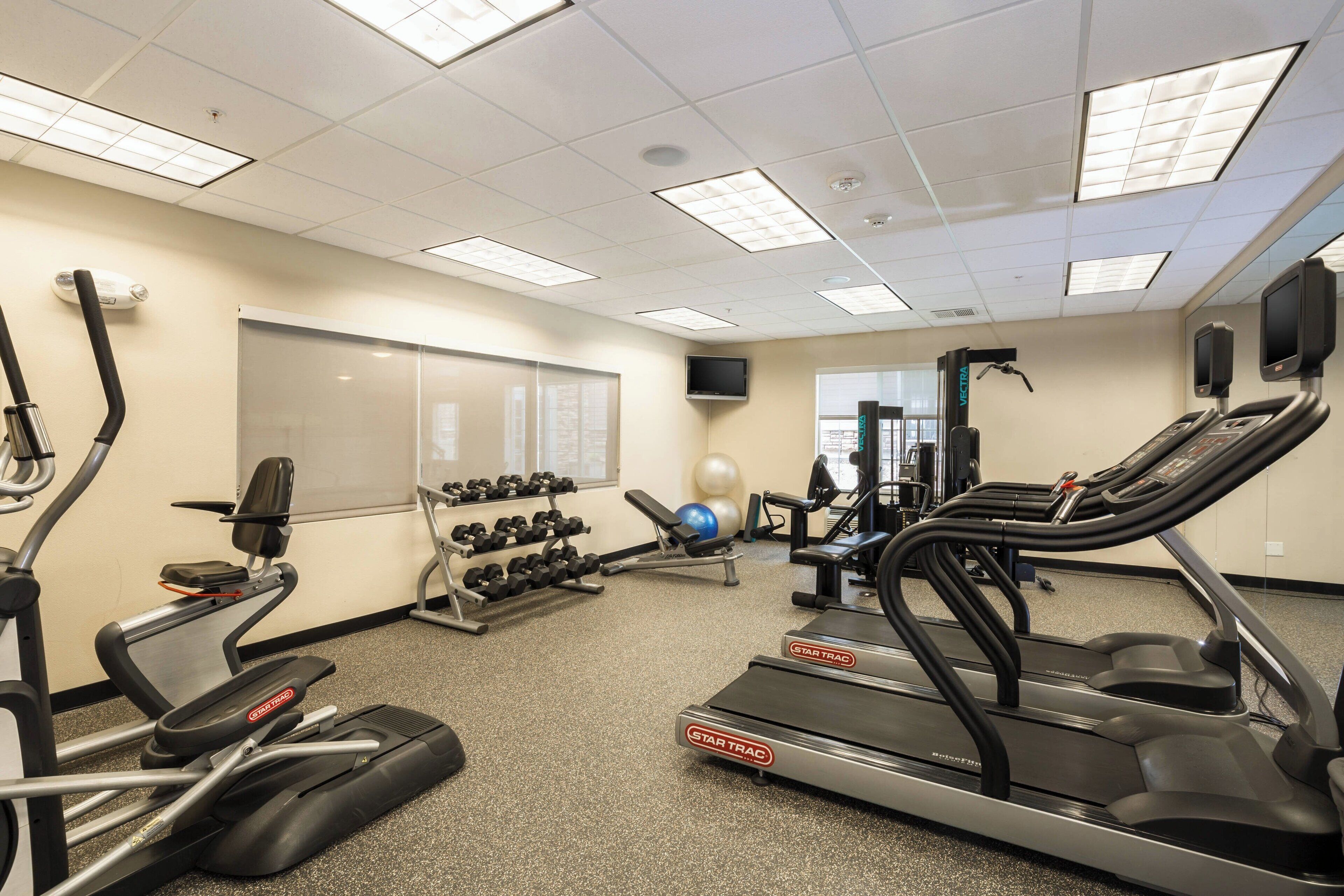 A gym with treadmills, dumbbells, and exercise equipment.