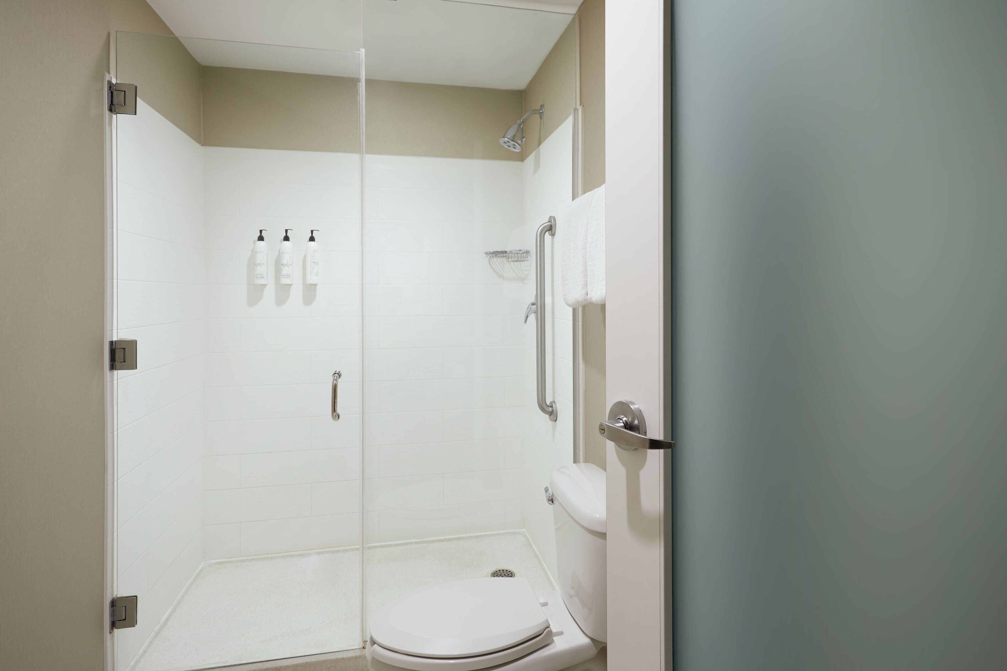 shower, free toiletries, hair dryer, towels