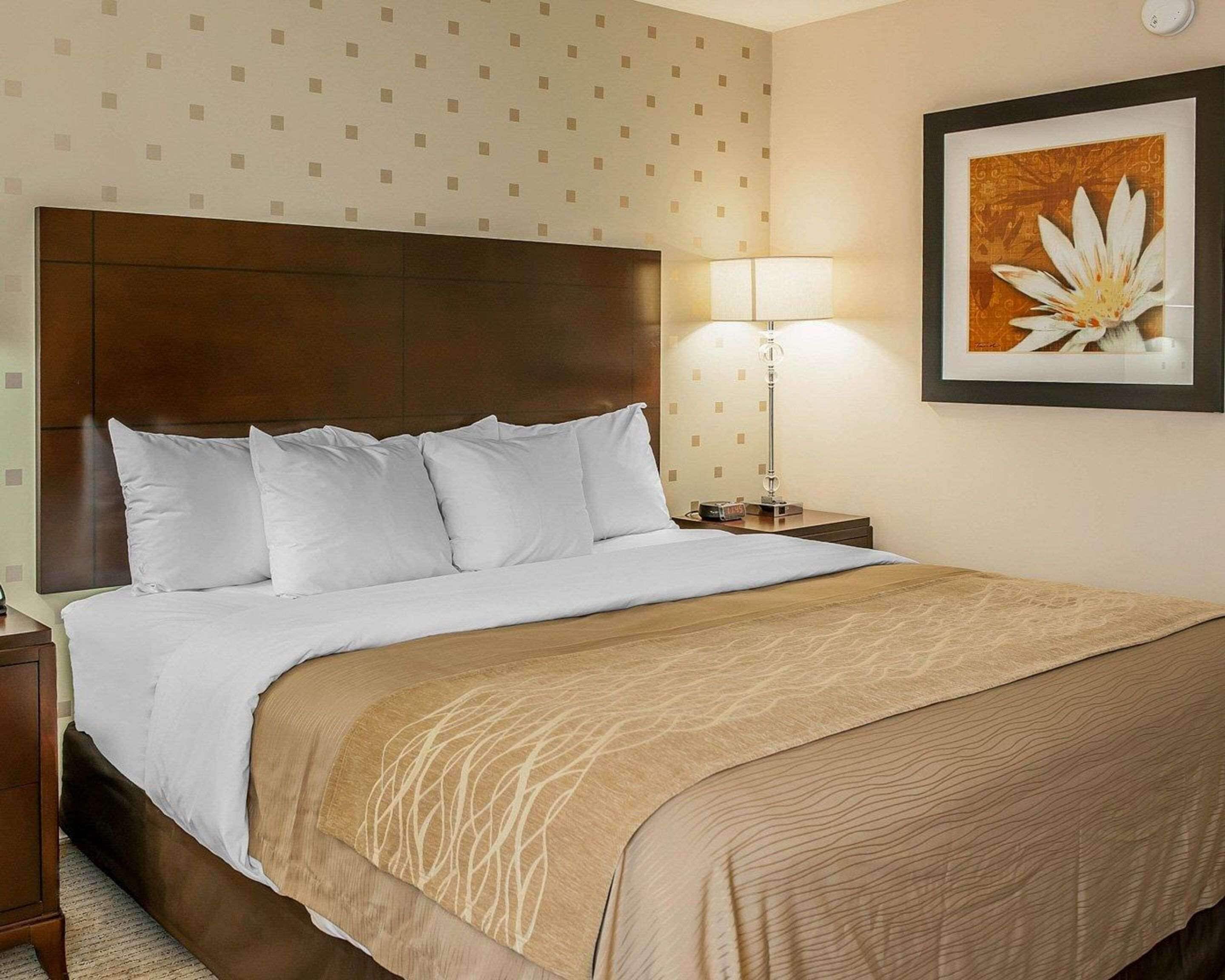A hotel room with a large bed, a wooden headboard, a bedside lamp, and a framed picture on the wall.
