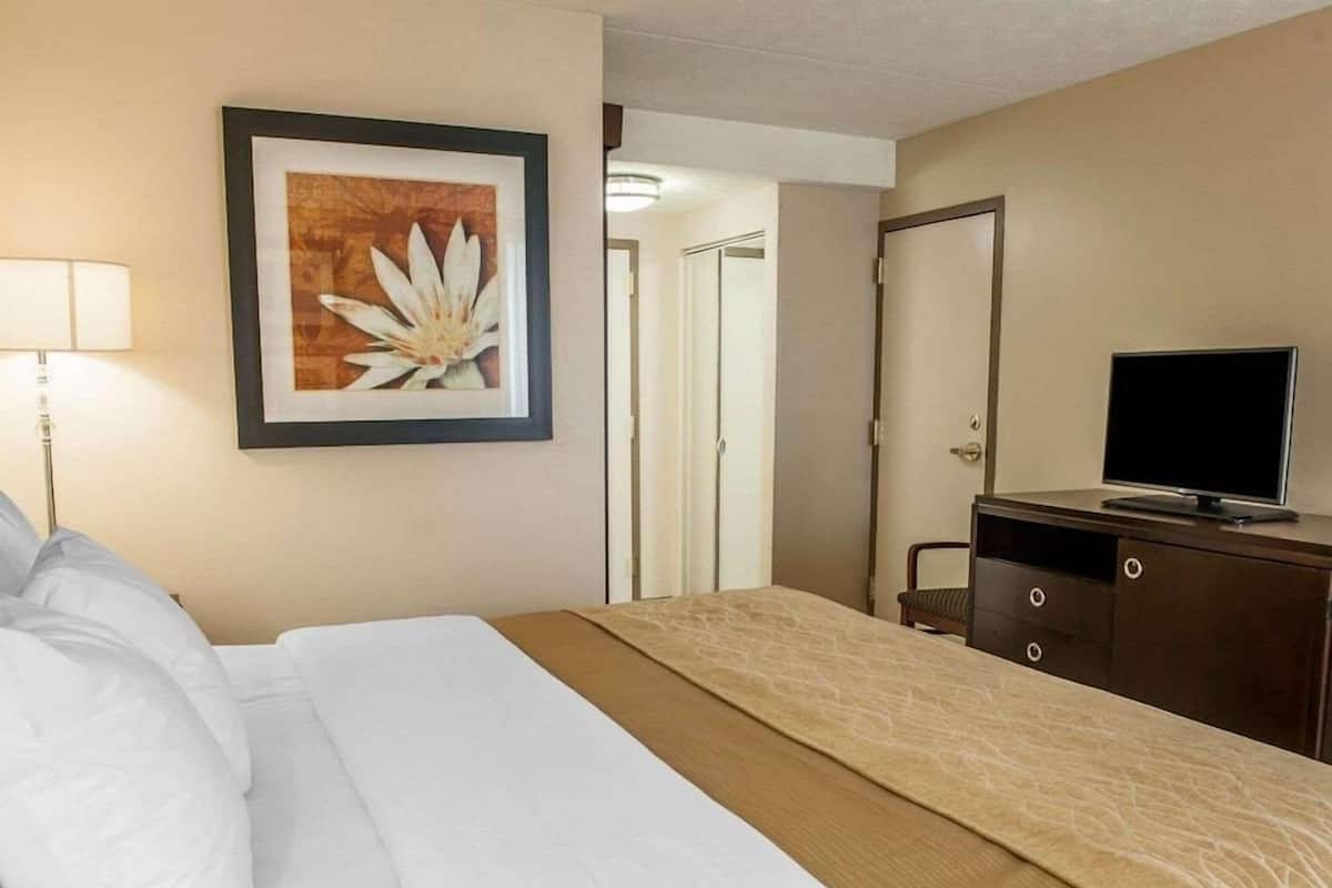 A hotel room with a bed, a television on a dresser, a framed picture on the wall, and a door leading to another room.