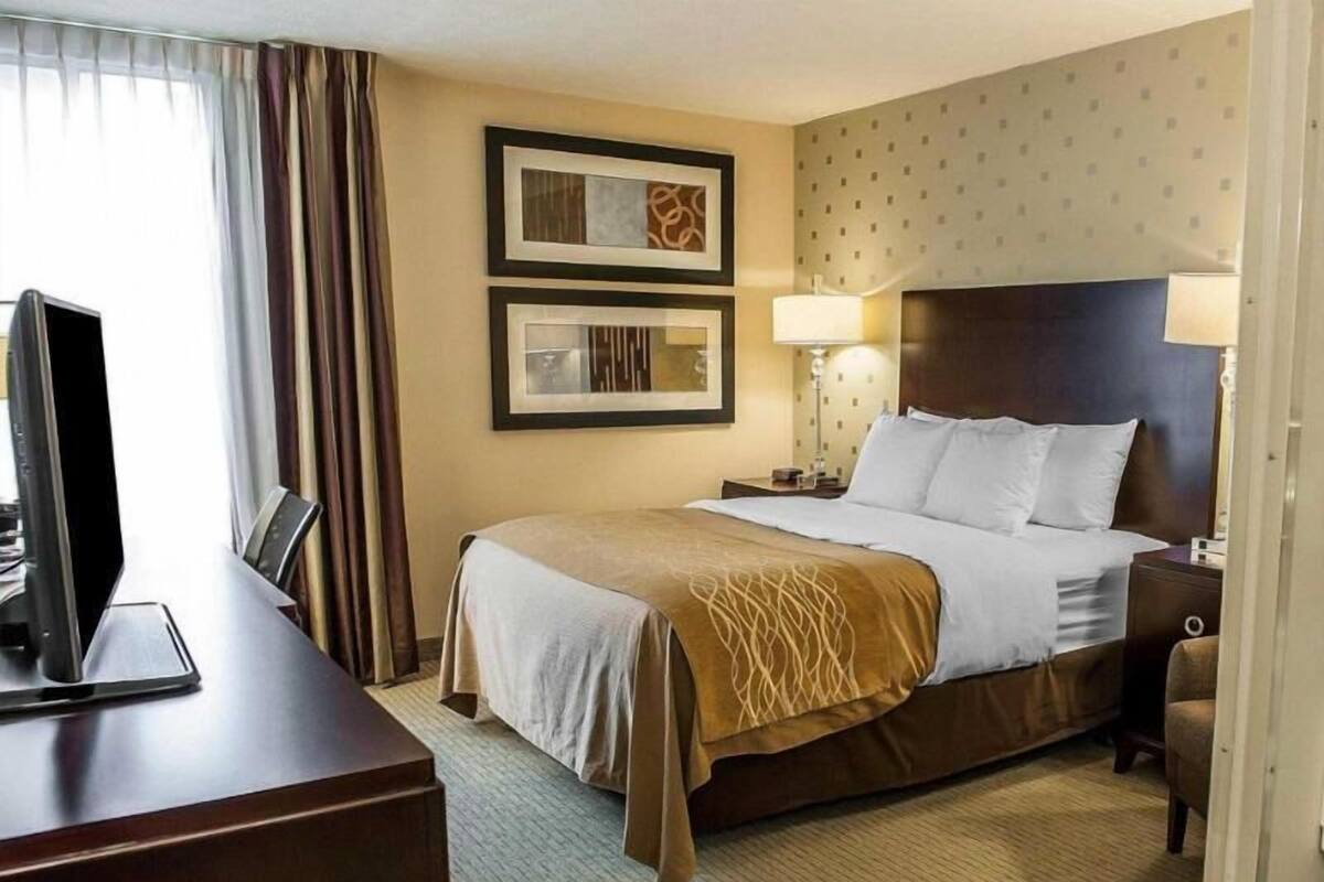 A hotel room with a bed, a desk, a TV, two framed pictures on the wall, and a lamp.