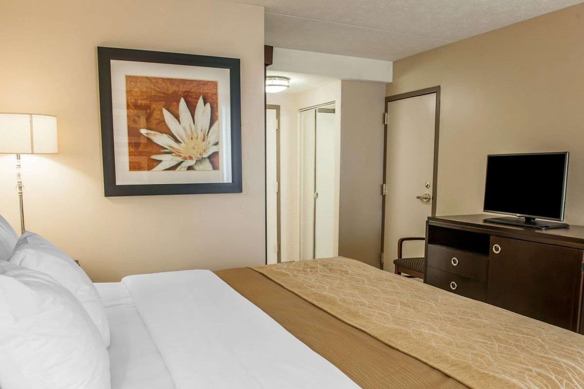 A hotel room with a bed, a television on a dresser, a framed picture on the wall, and a door leading to another room.