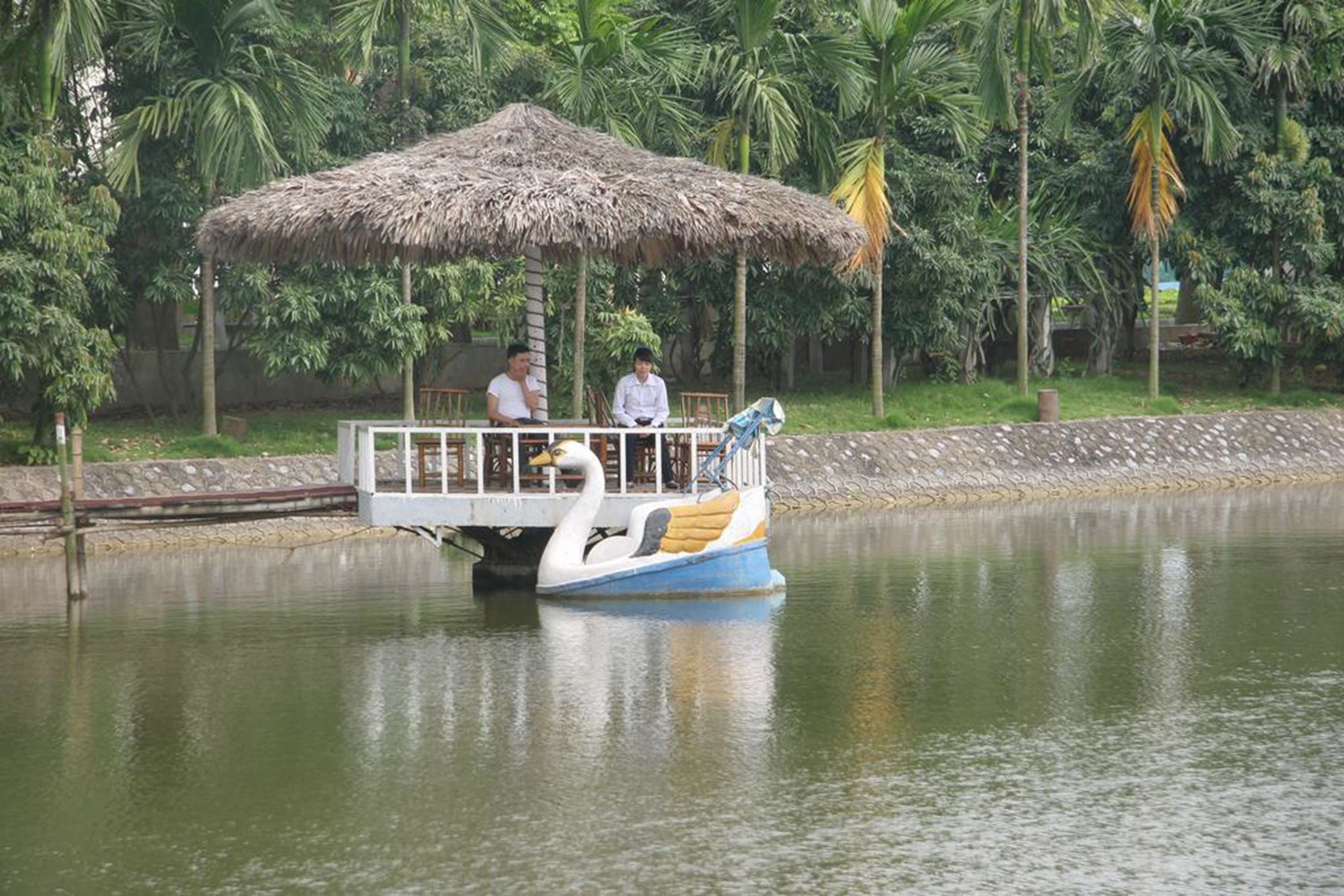 Paseo en bote con una cubierta de paja, pasajeros y una masa de agua tranquila rodeada de vegetación.