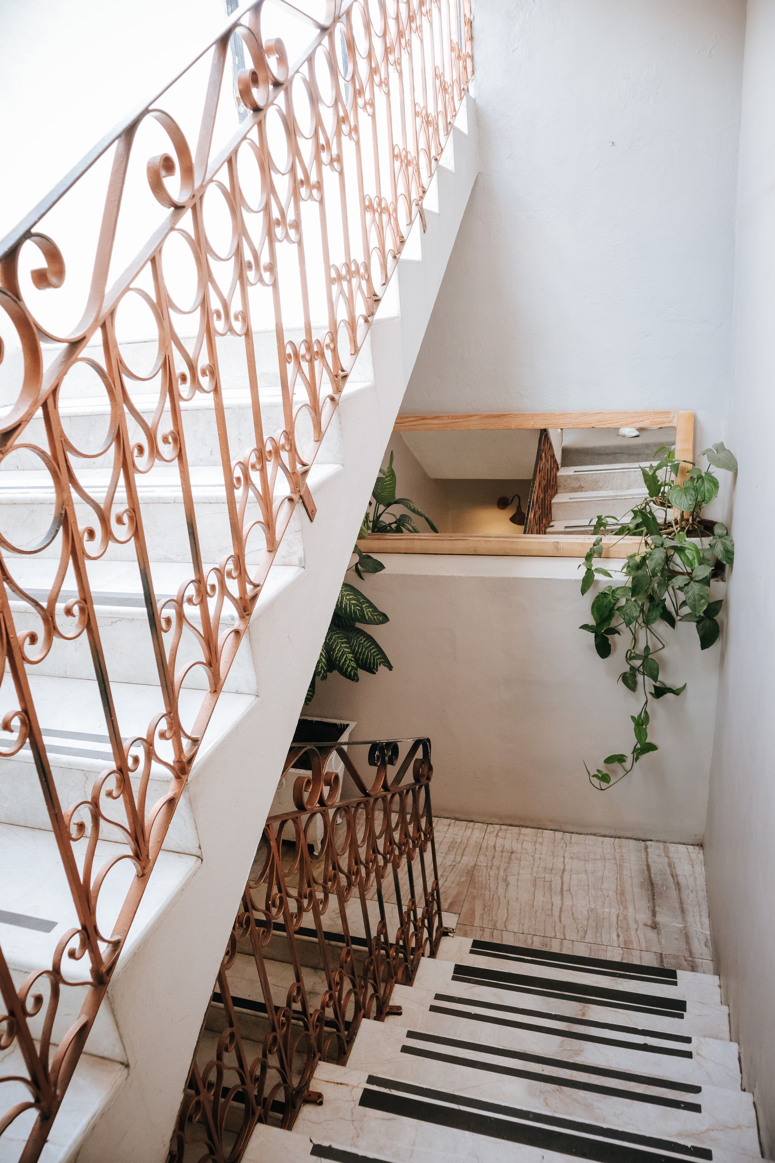 Una escalera con barandillas de metal decoradas y una planta en el rellano.
