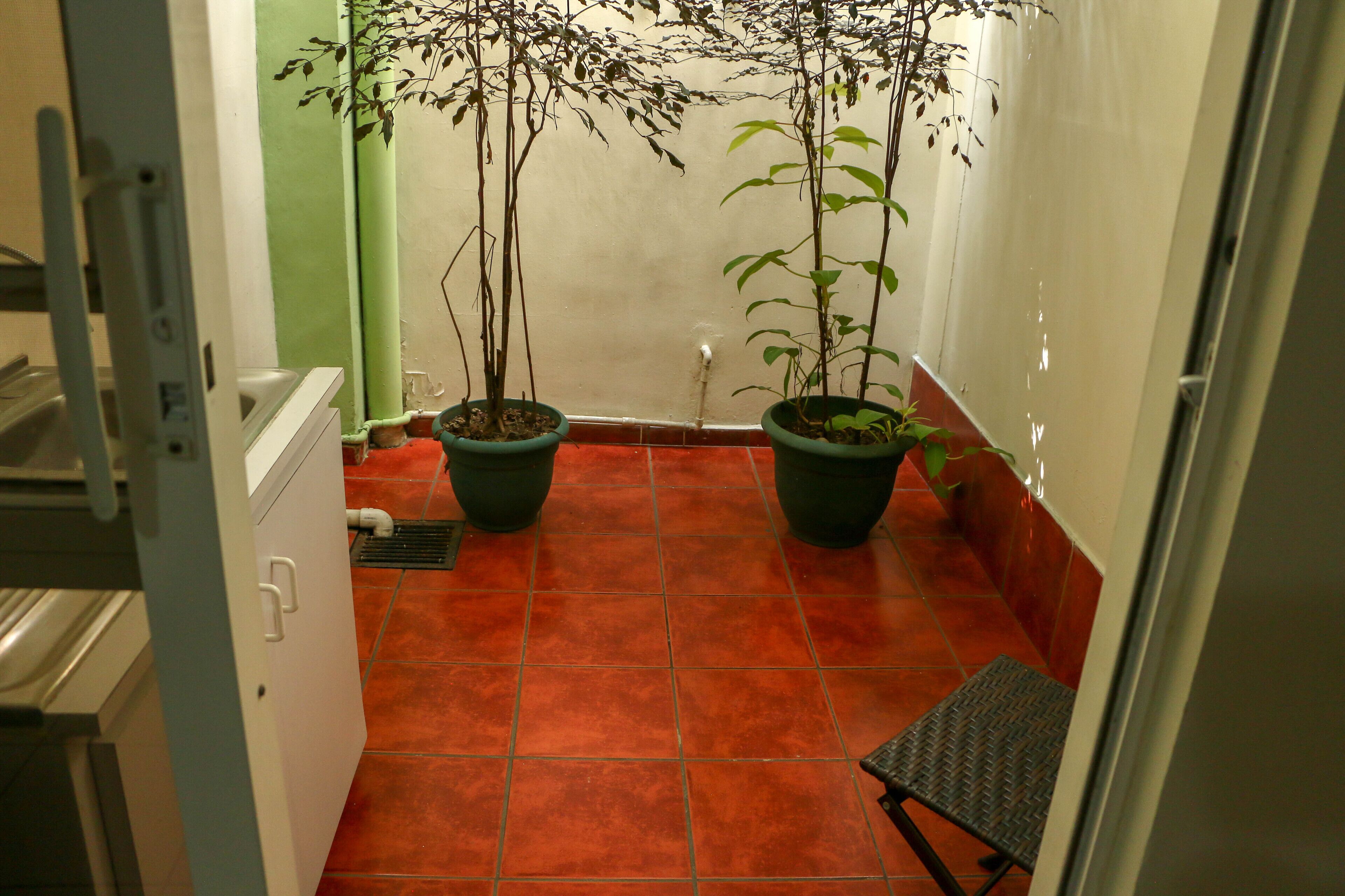 standard single room | terrace/patio
