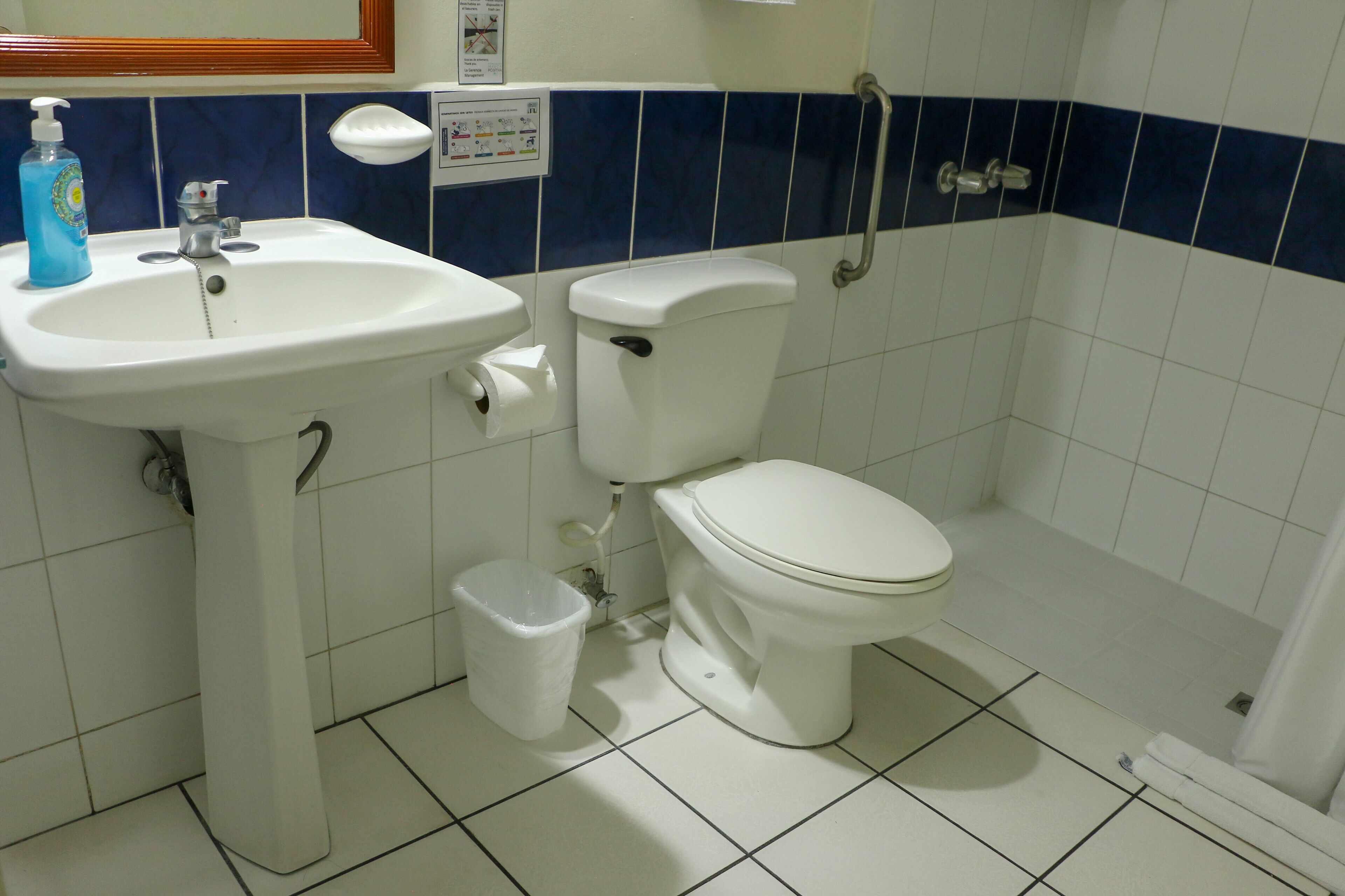 shower, bidet, towels