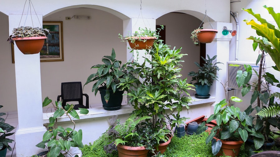 Hotel Villa Serena San Benito