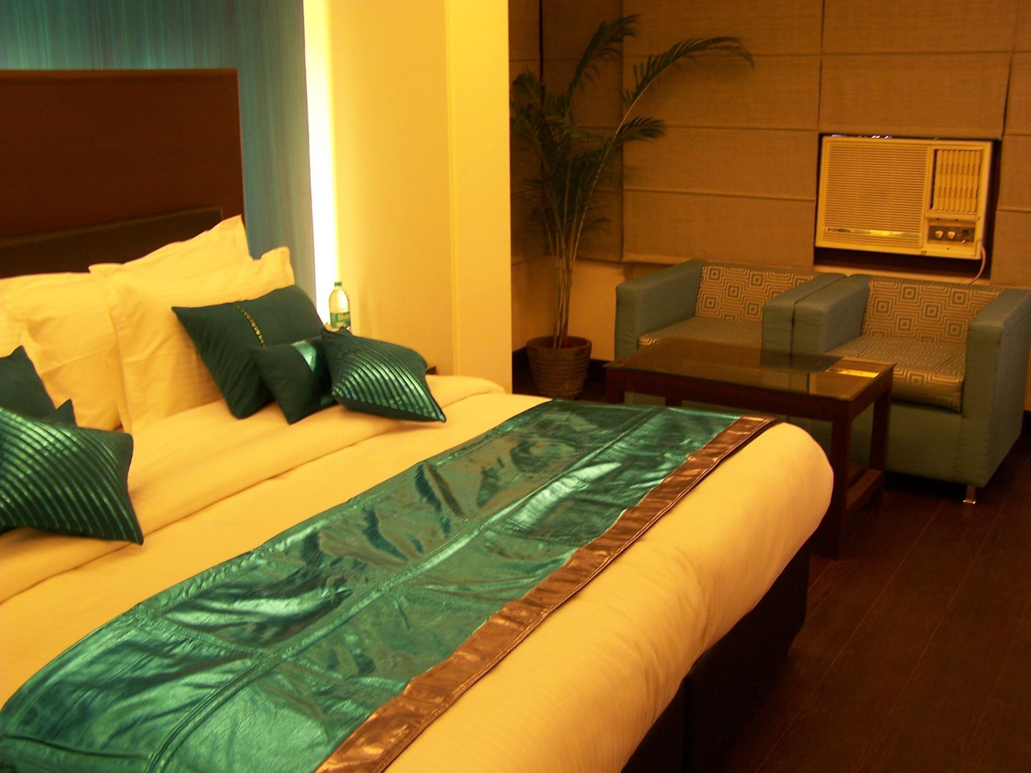 A hotel room with a bed, a sofa, a potted plant, and a wall-mounted radio.