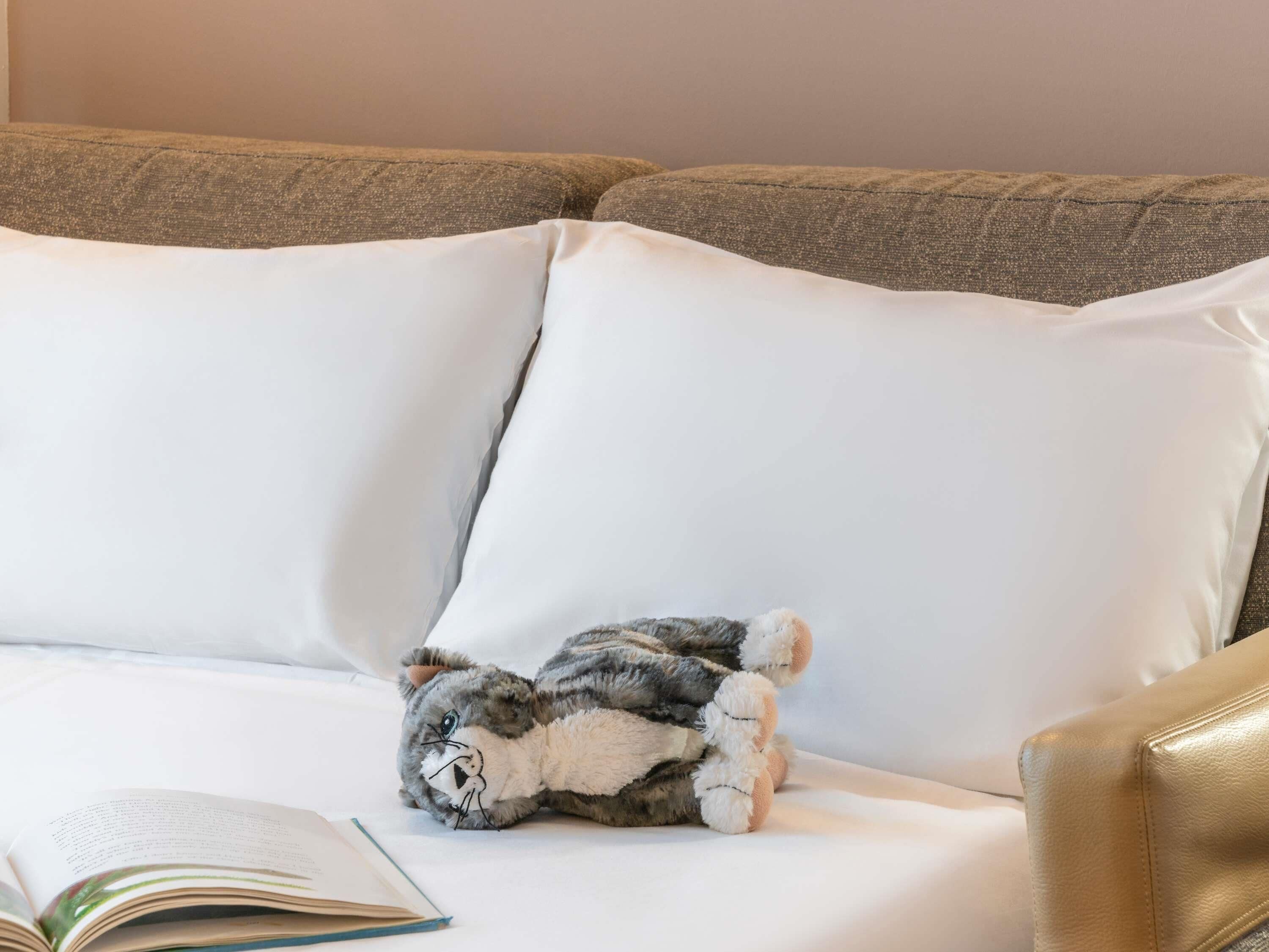 Un sofá con un peluche y un libro abierto.